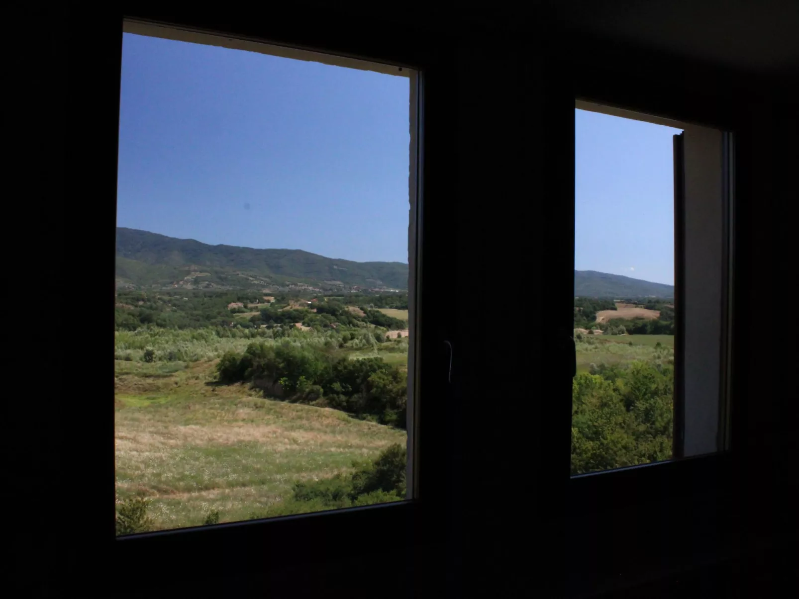 Flache Linde-Draußen