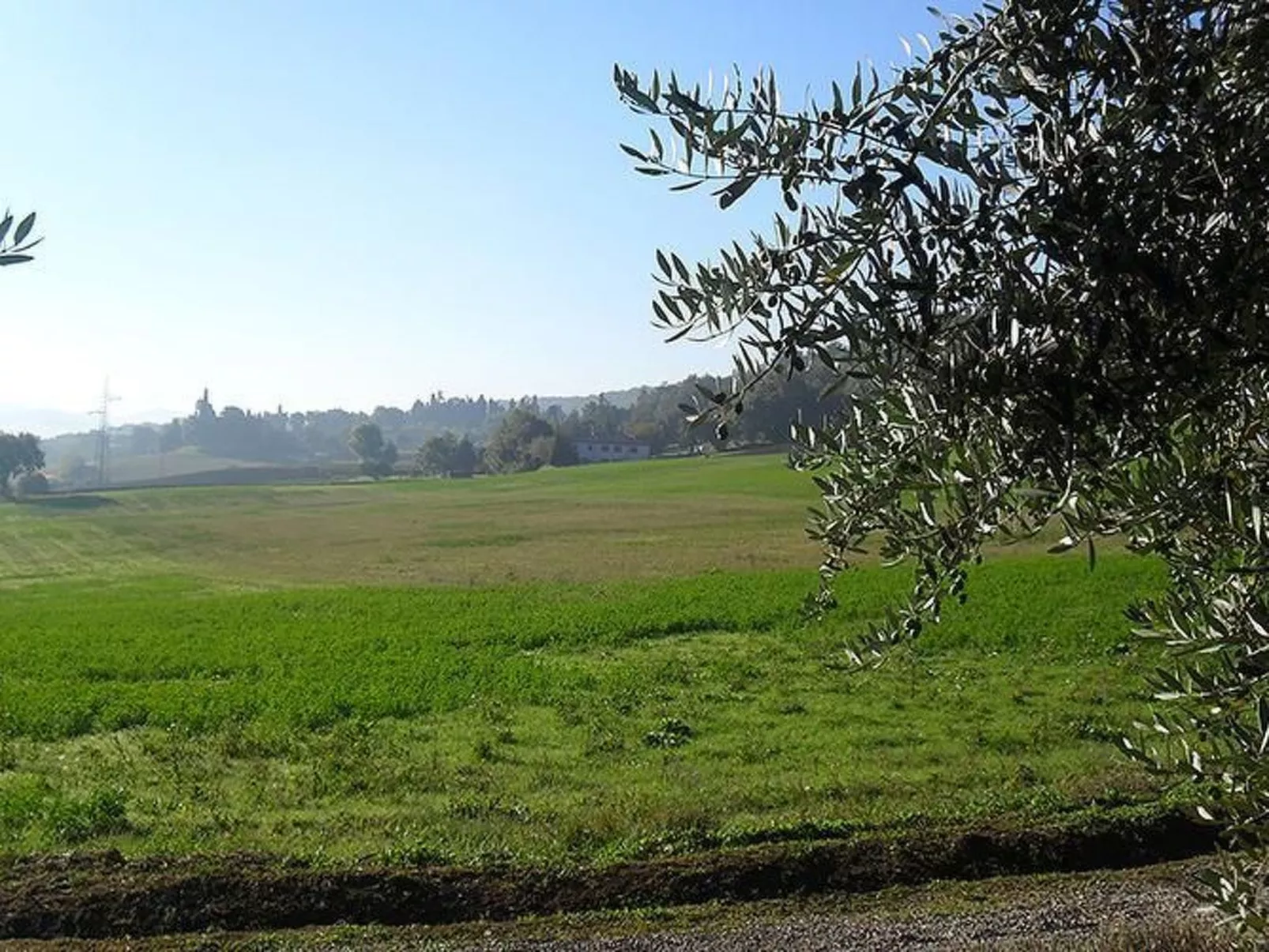 Großes Appartement-Outside