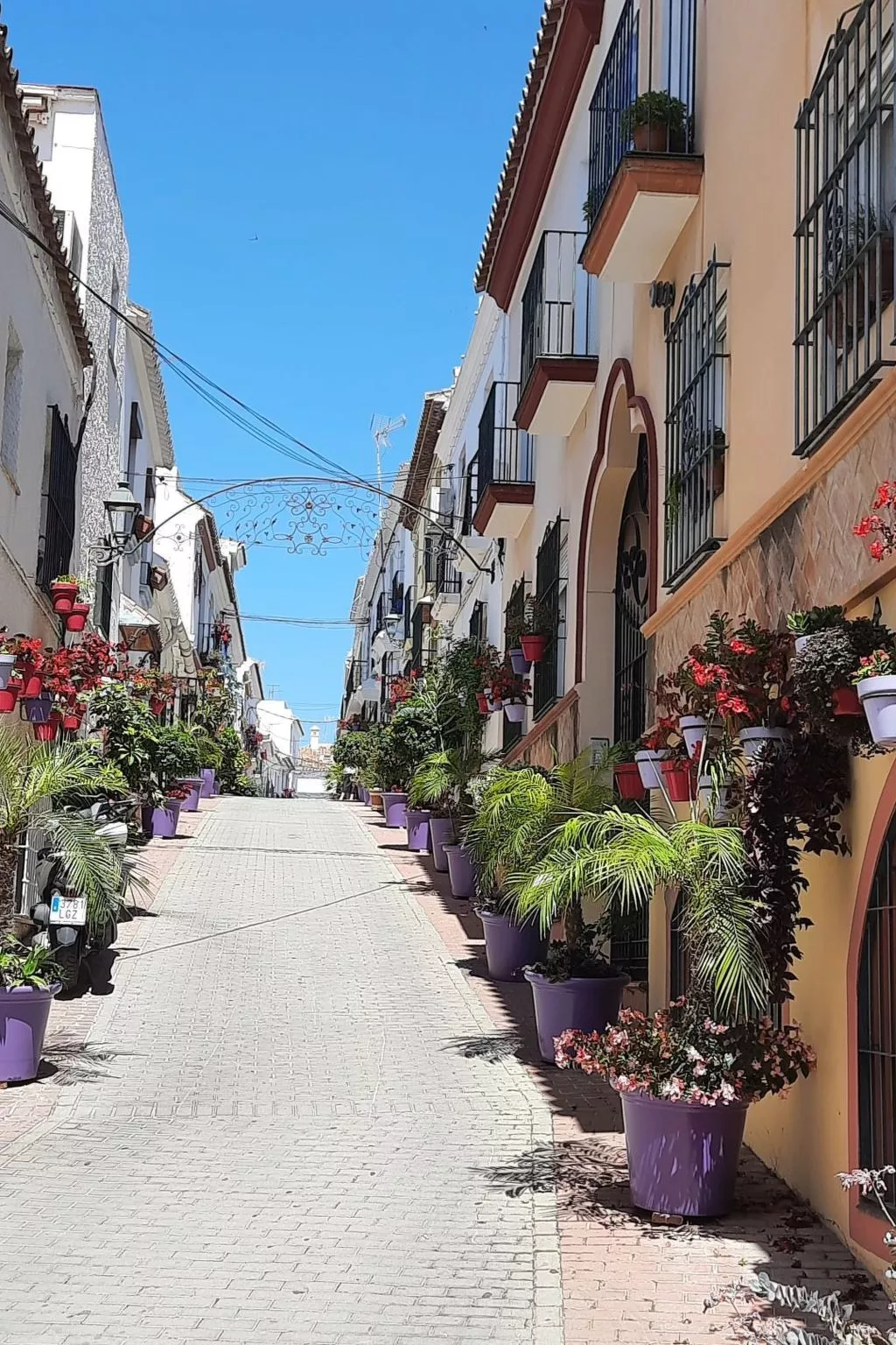 Kaehe's Paradise-Outside