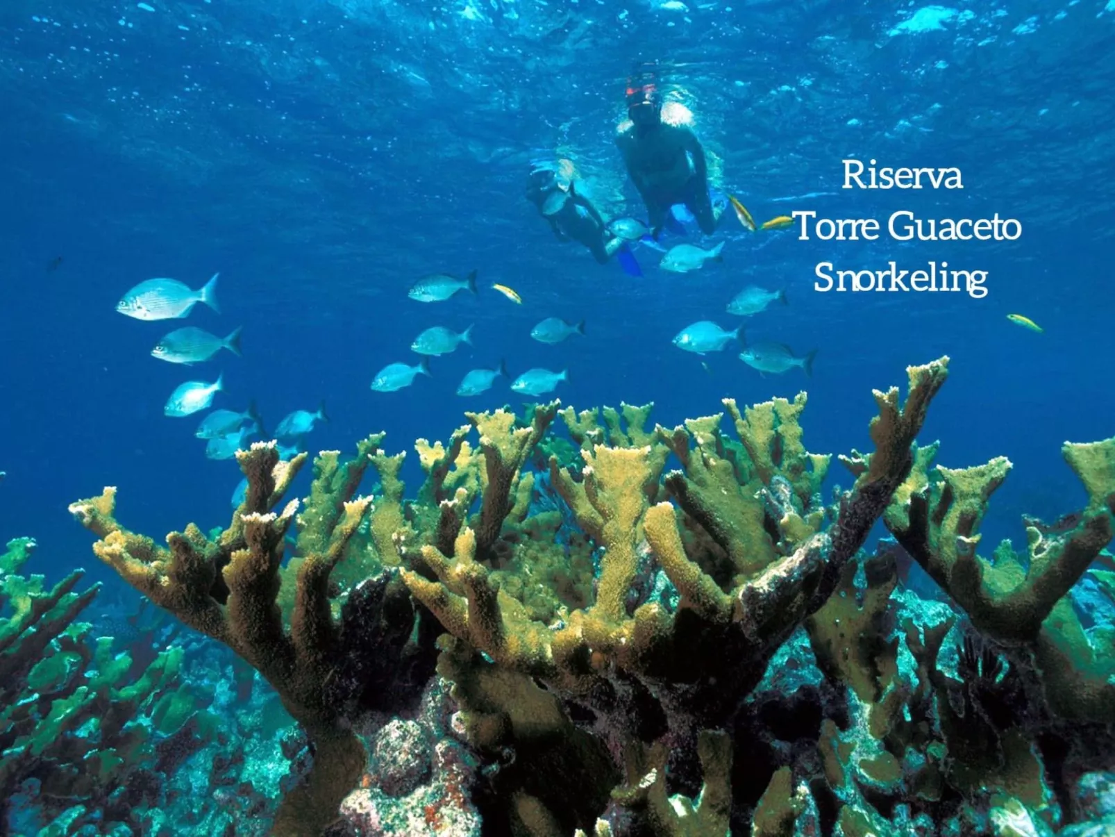 Vista Mare da Zio Piero in Ostuni-Draußen