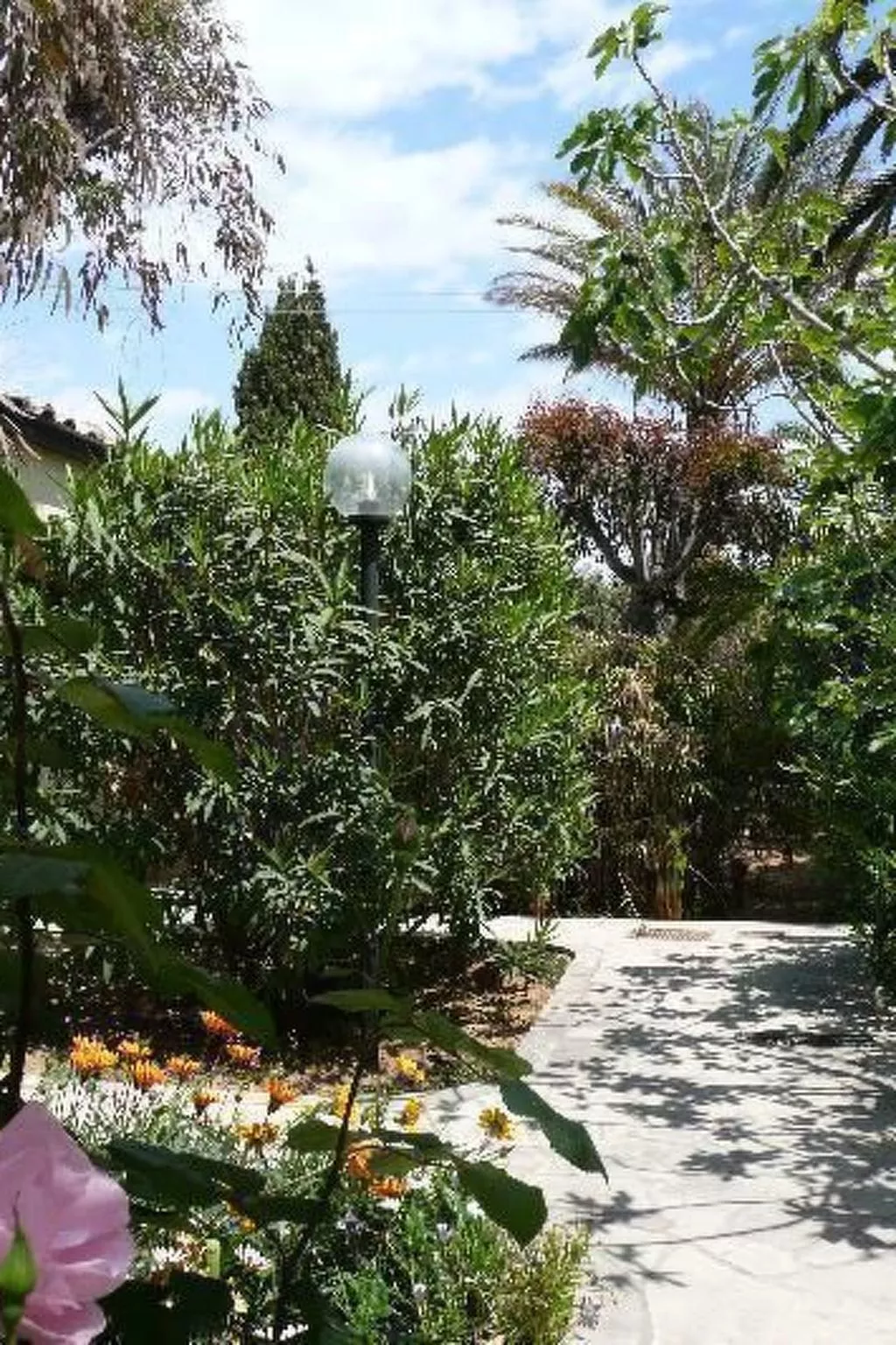 Schöner Bungalow direkt am Sandstrand auf Sizilien-Image-tags.info