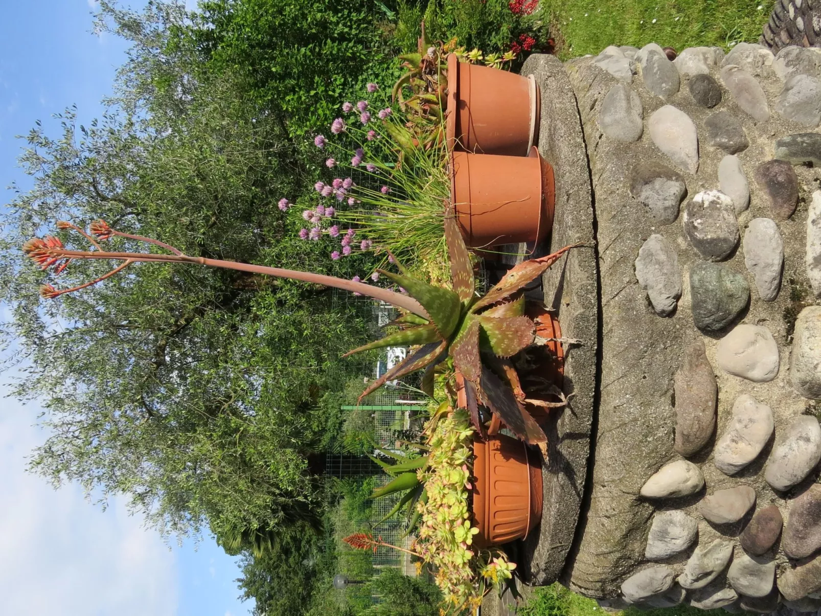 Villa im Grünen in Riva del Garda mit Garten-Outside