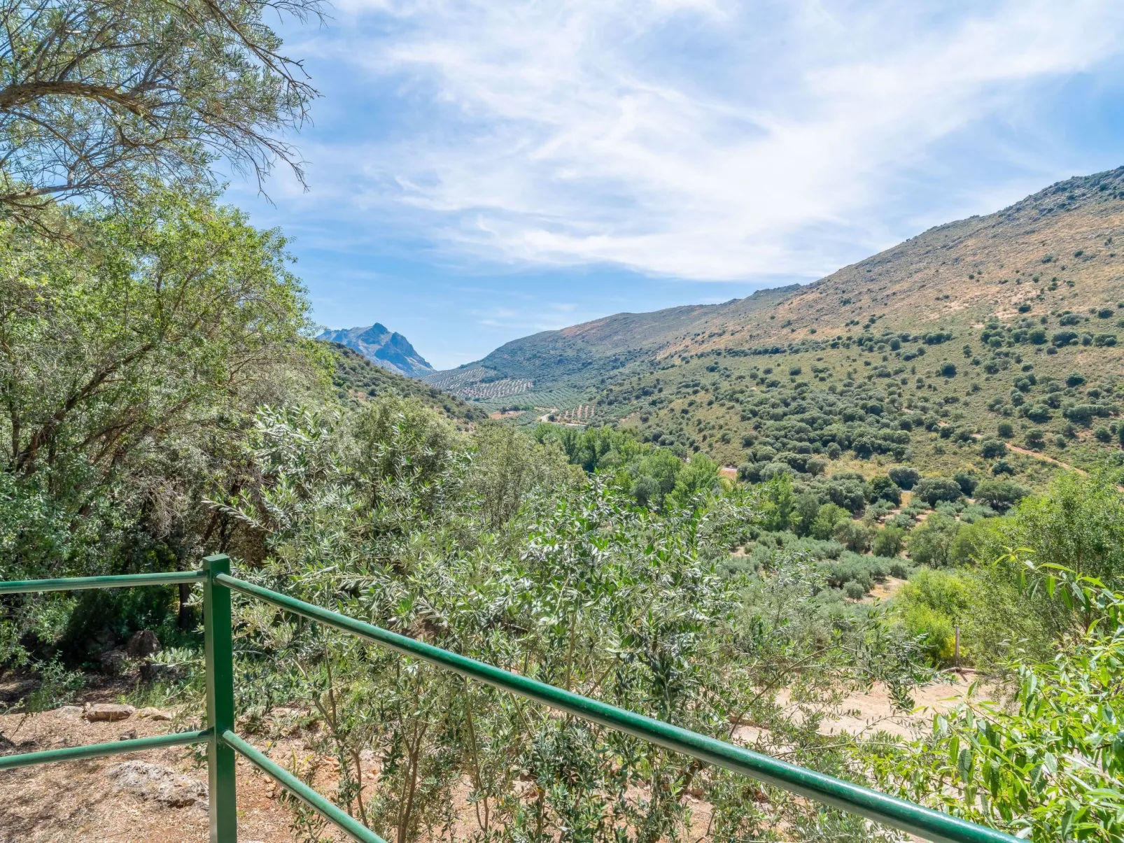 Cerro de la Cruz,charmantes Bauernhaus mit bester Aussicht,im Zentrum Andalusie-Dehors