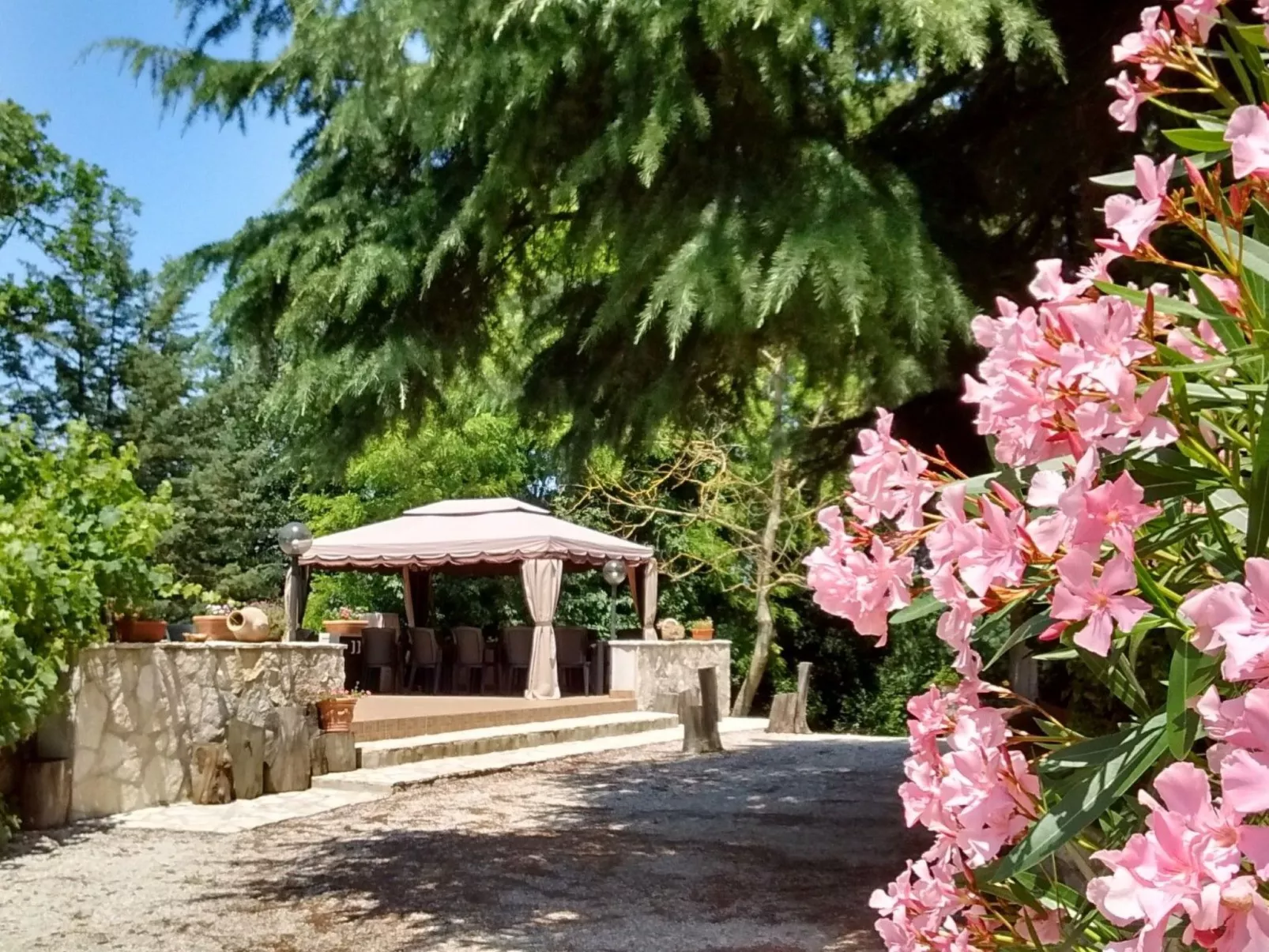 Wohnung Bosco-Dehors