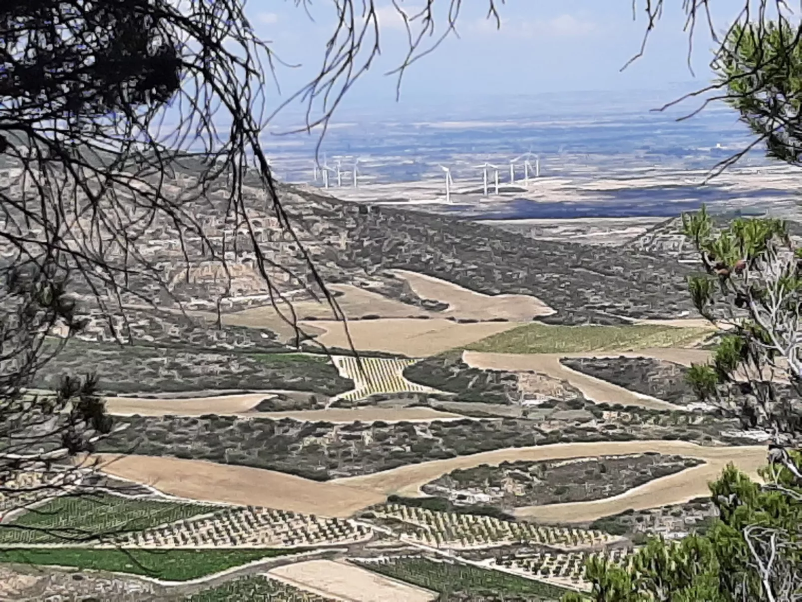 Landwohnung mit Bergblick-Outside