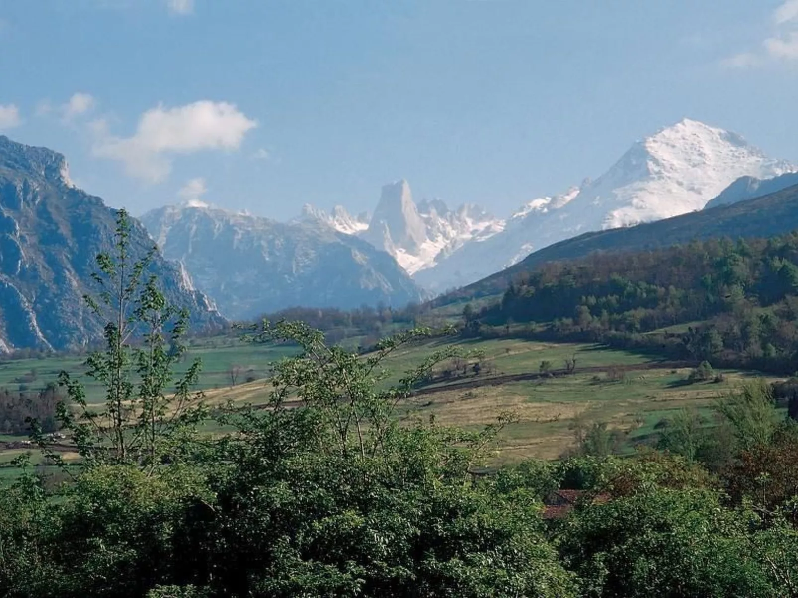 Maria Sopeña in Pruneda-Dehors