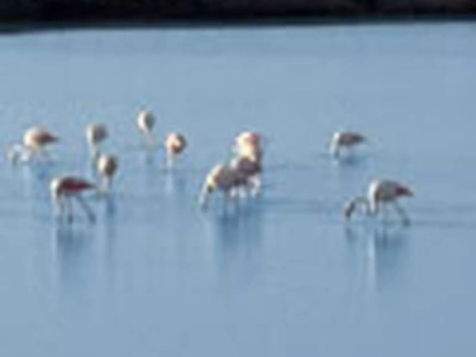 Casa Carmen-Image-tags.info