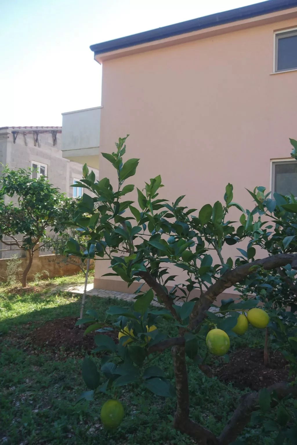 Michele-Grejp-Outside