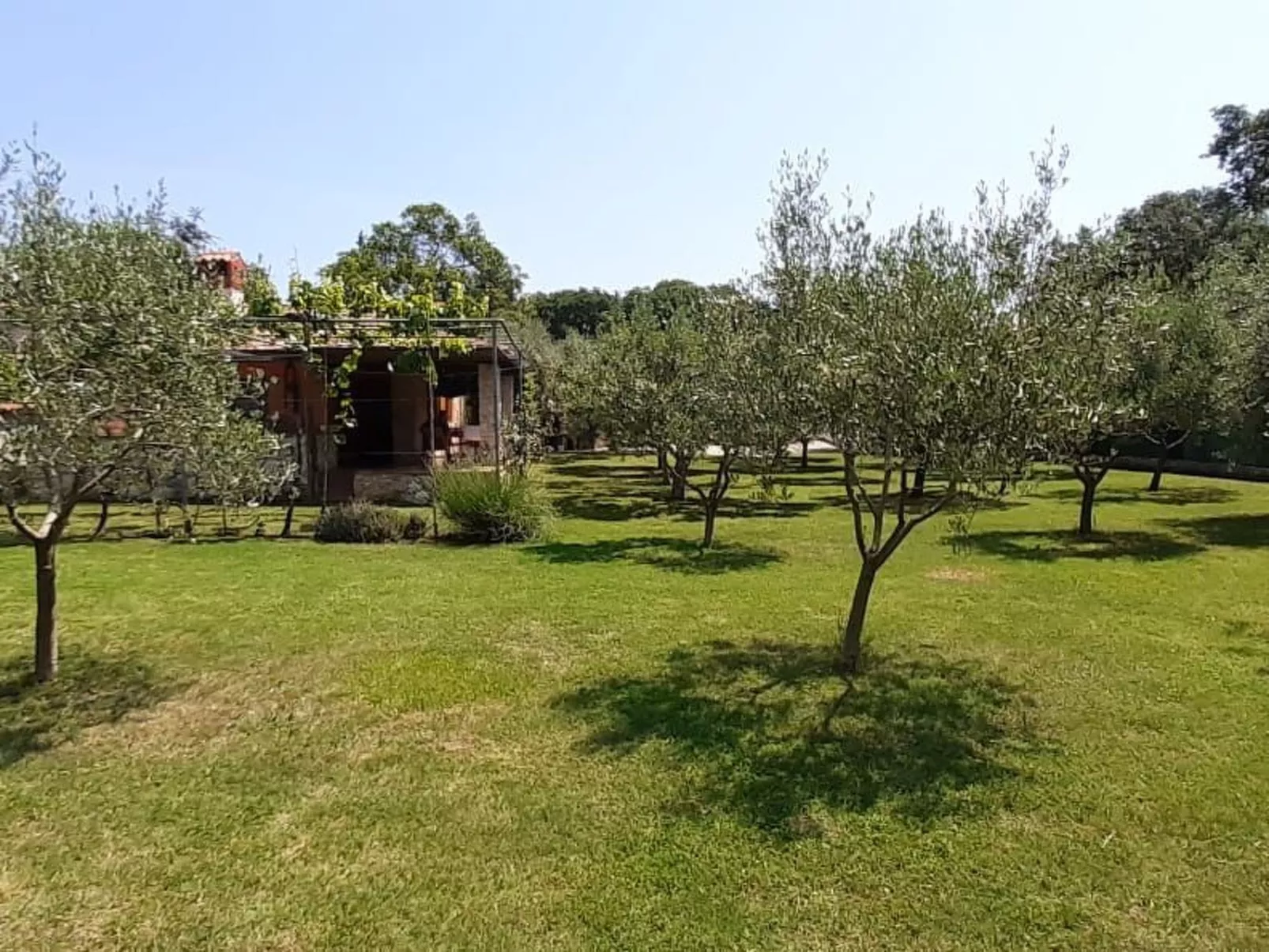 Mit schönem Garten und Sonnenterrasse-Dehors