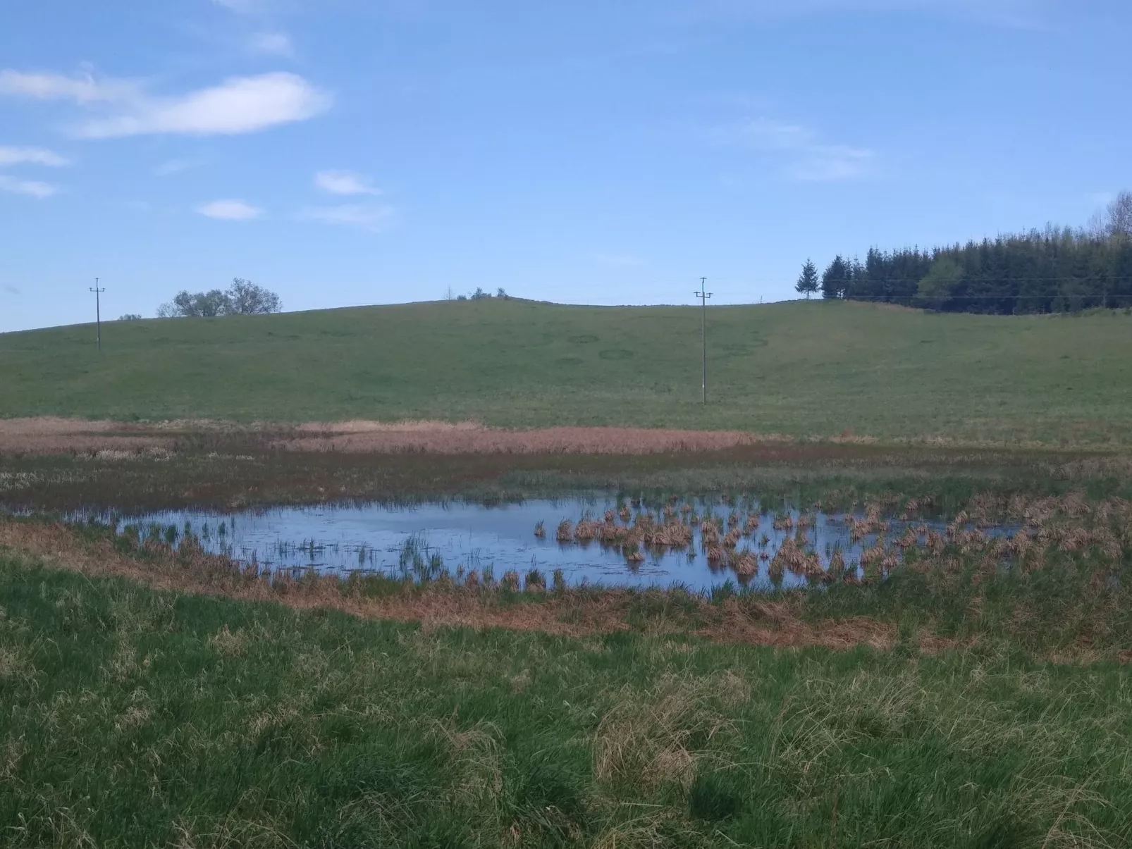 Vogelecke - abseits des Trubels und der Hektik-Dehors