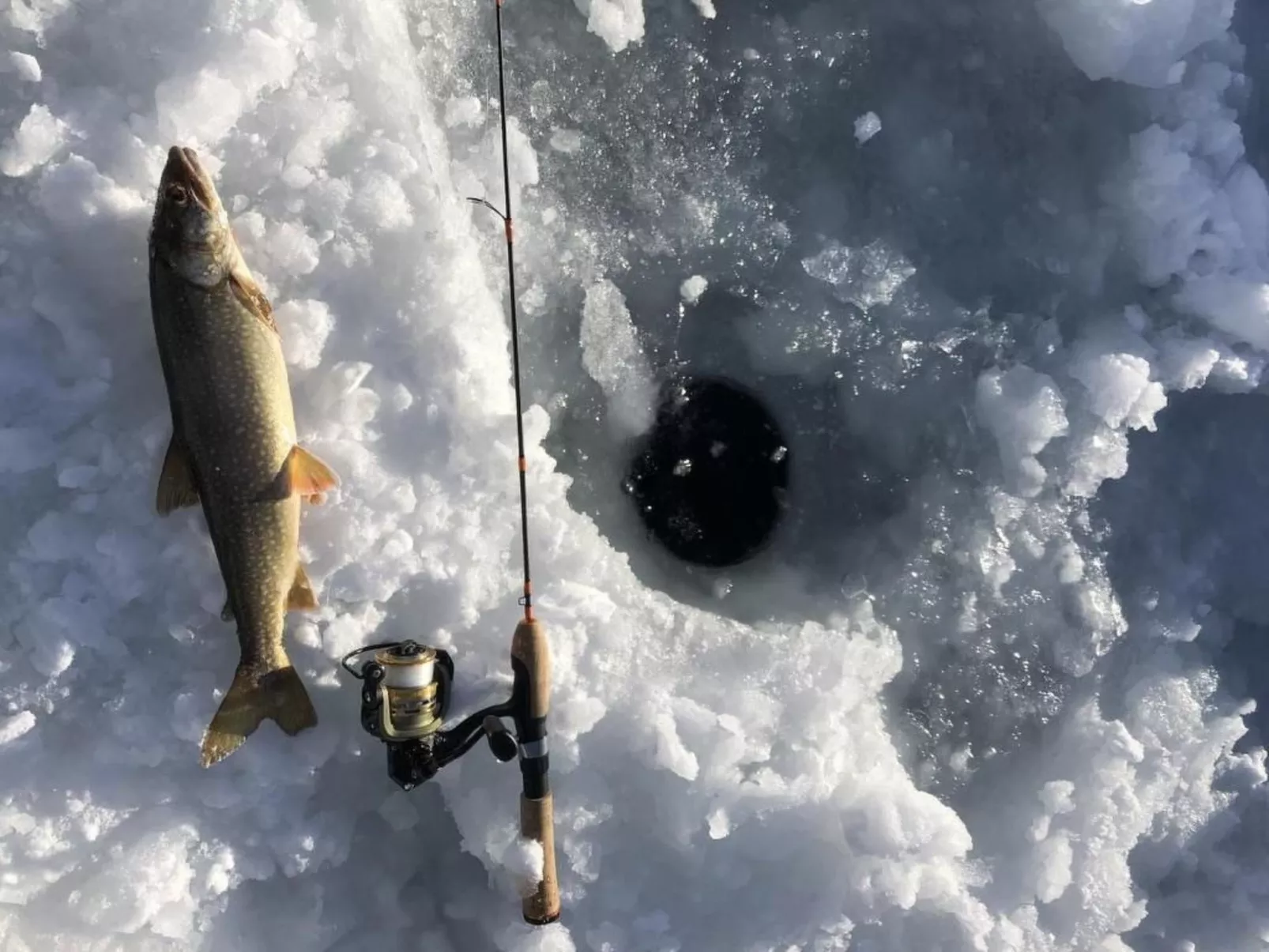 Chesa Andrea, EG-Image-tags.info