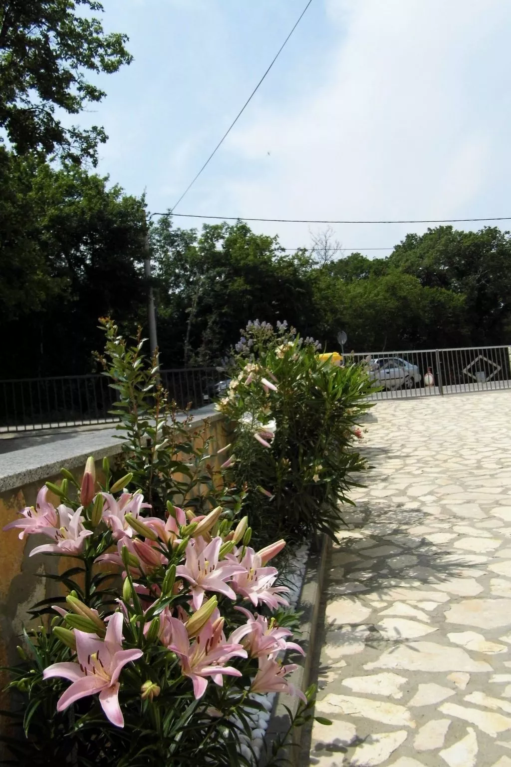 Ausgezeichnete neue und moderne Wohnung-Outside