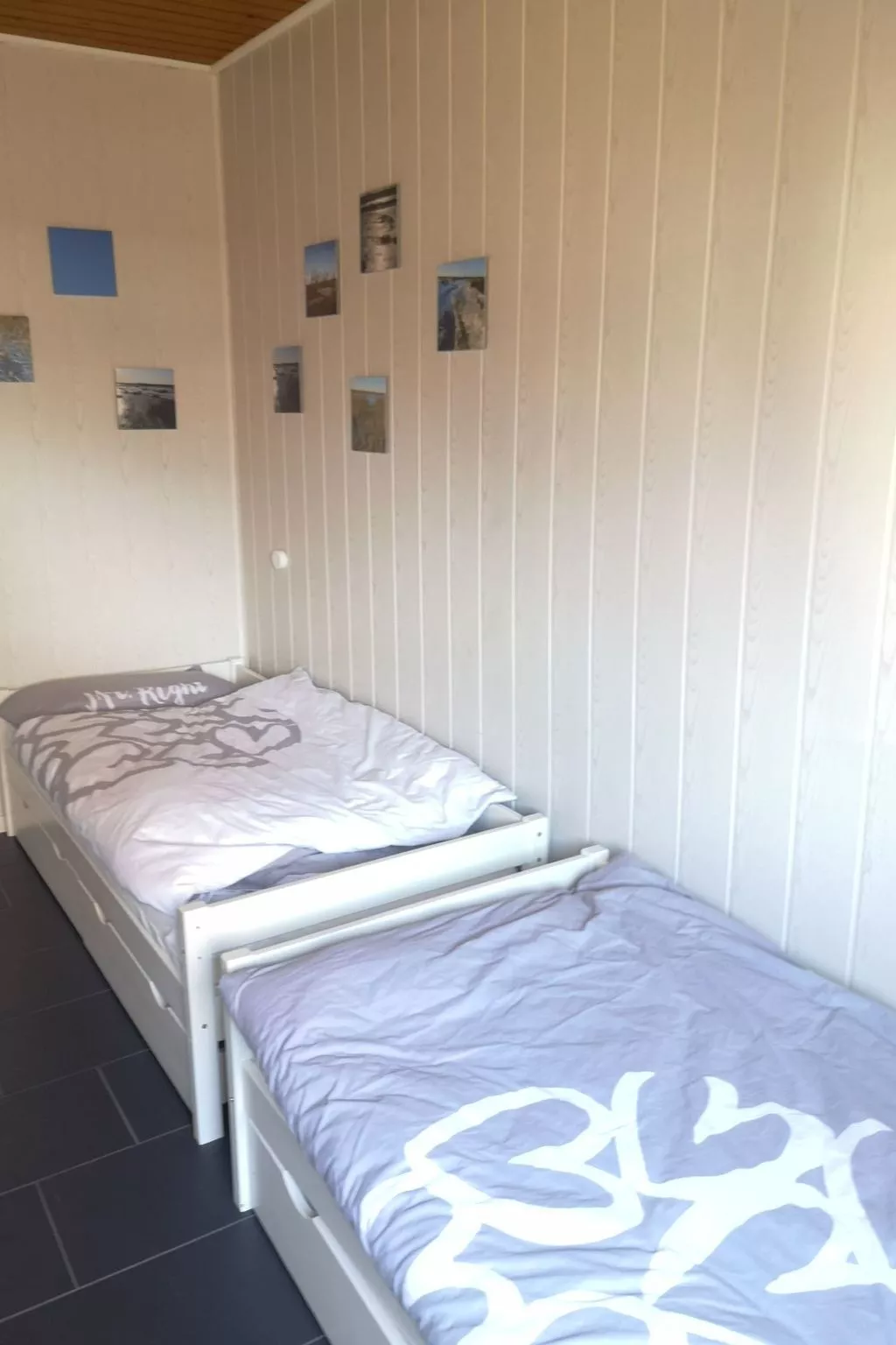 Lachmöwe-Image-tags.info