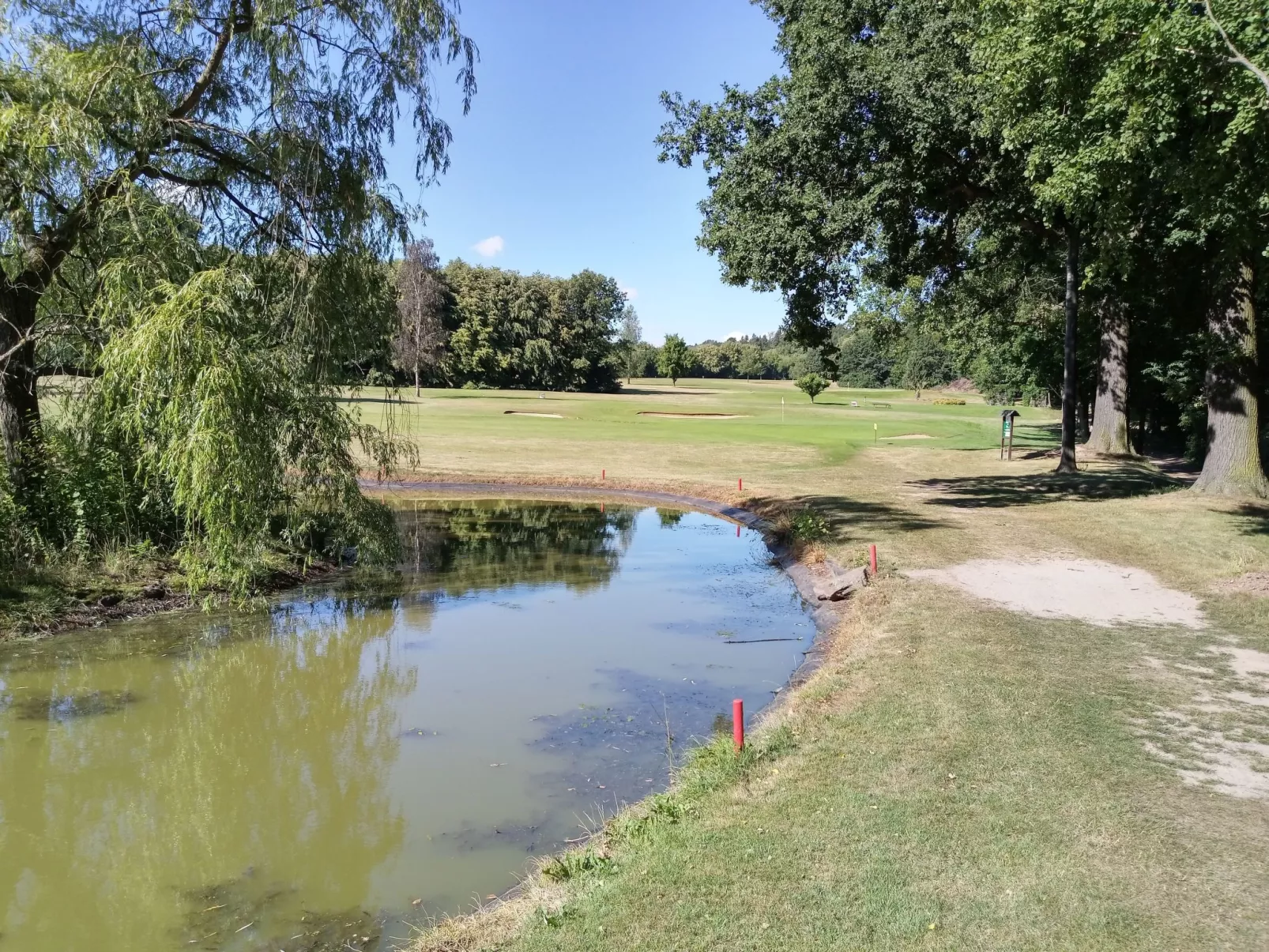 Wohnung in Hänichen mit Garten-Dehors