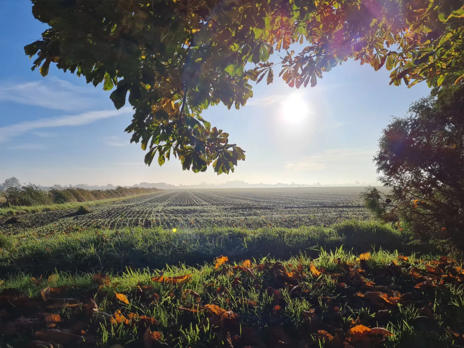 Reetdachhaus Petra-Dehors