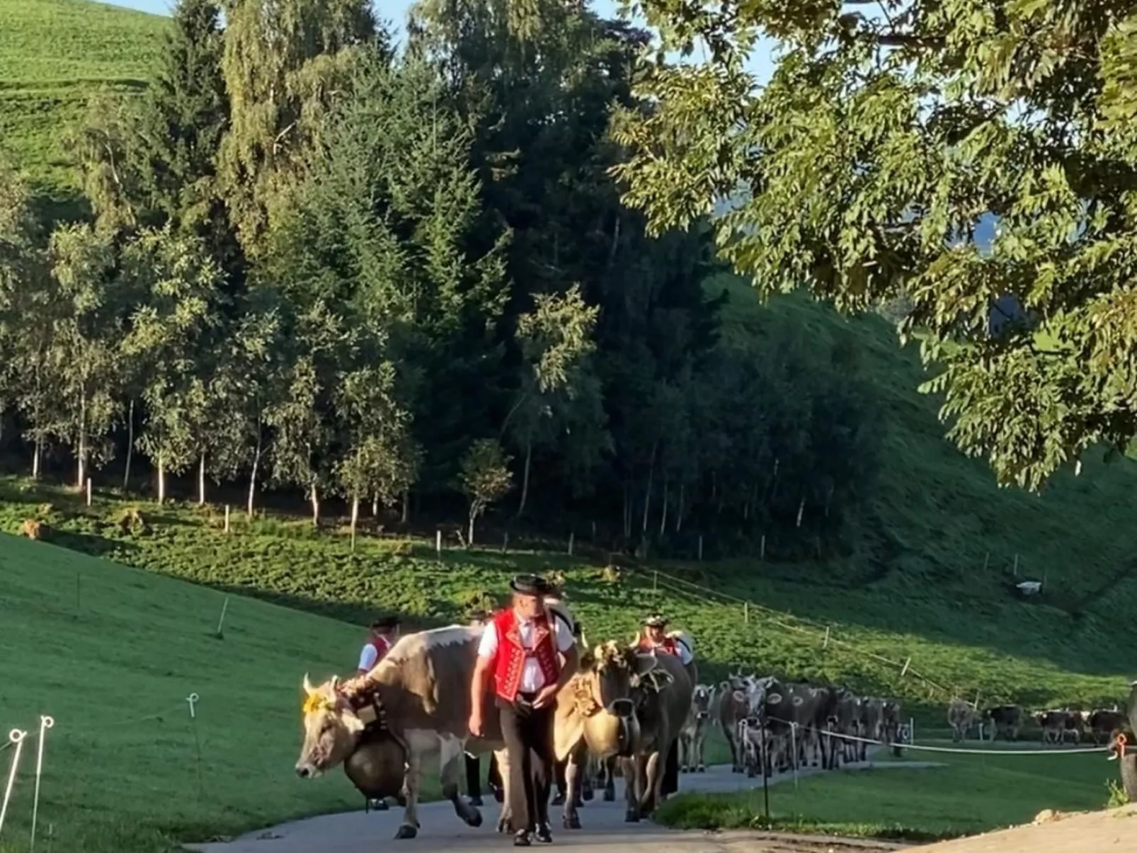 Alpakahof Ferien-Dehors