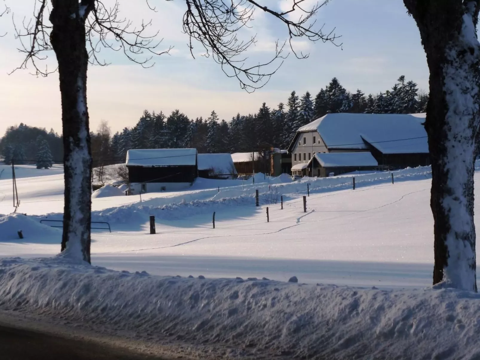 Chalet Désir, Lajoux-Draußen