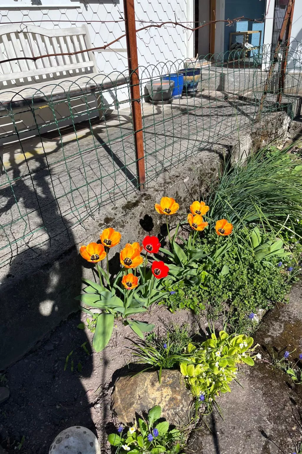 Sunnähöggli-Draußen