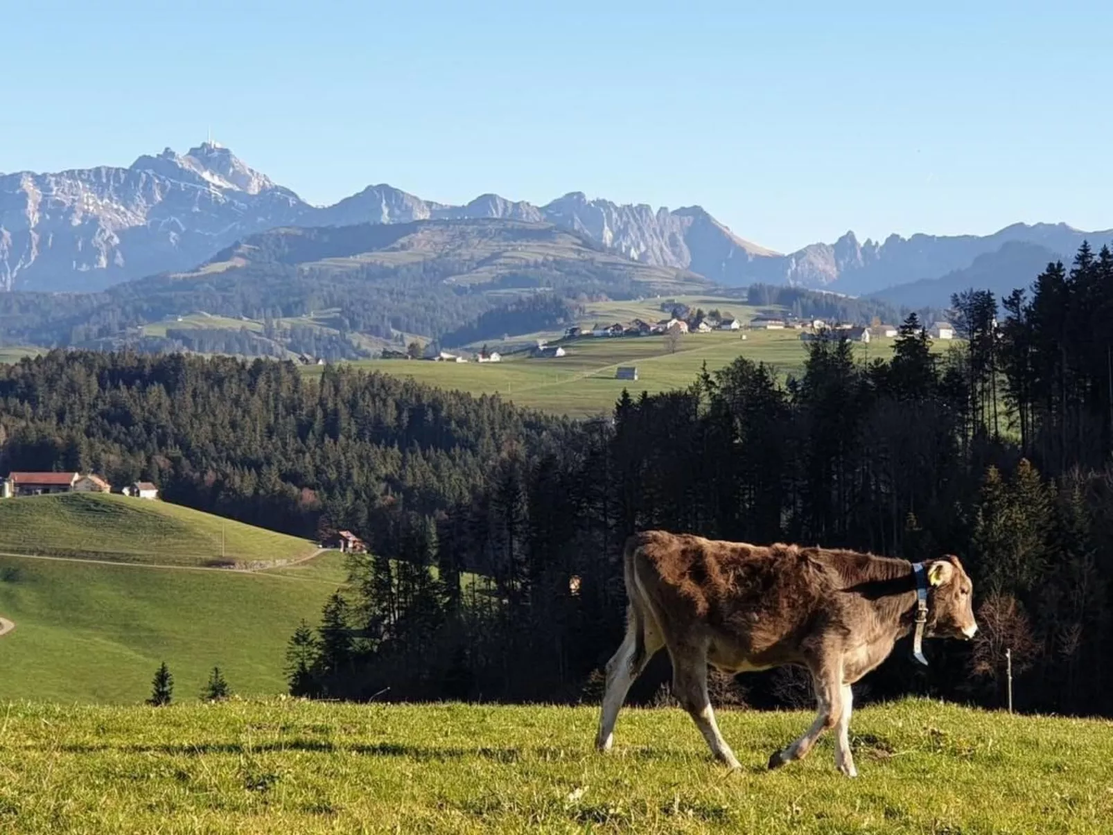 Chalet Traumfleck-Outside