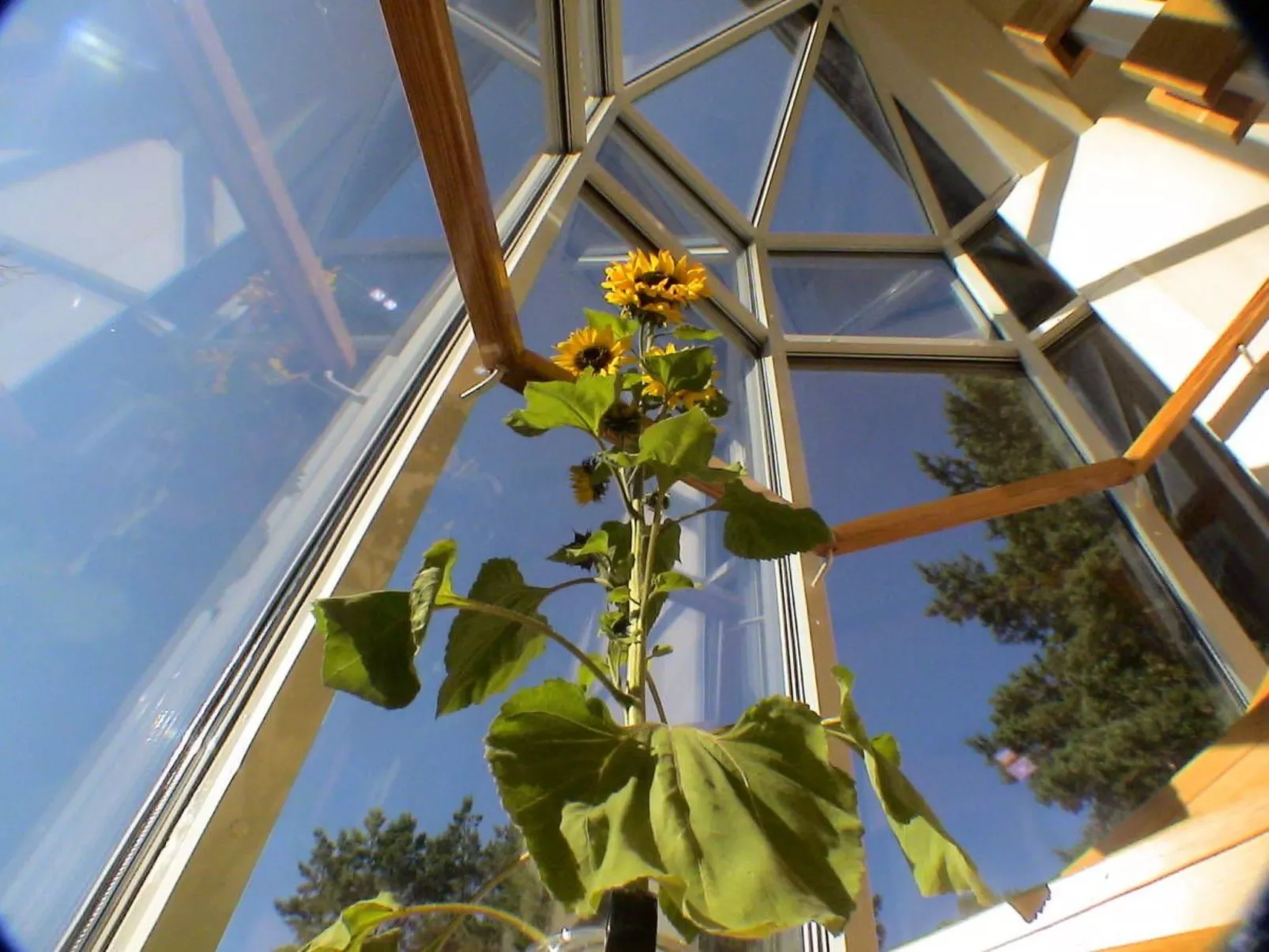 Wellness Ferienhaus Branzez mit Innenpool, Sauna.. - Inside