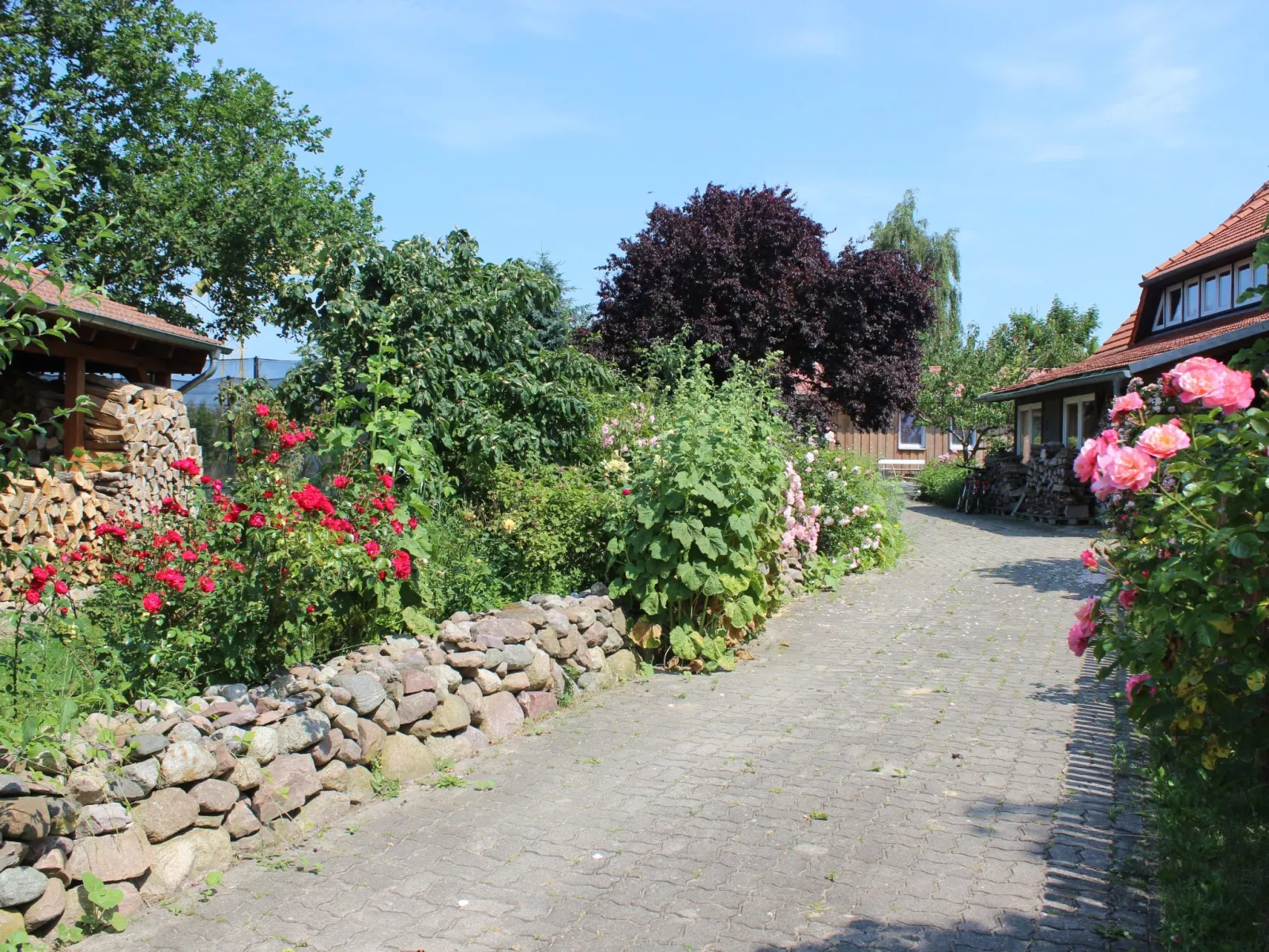 Janet Ratschkowski-Draußen