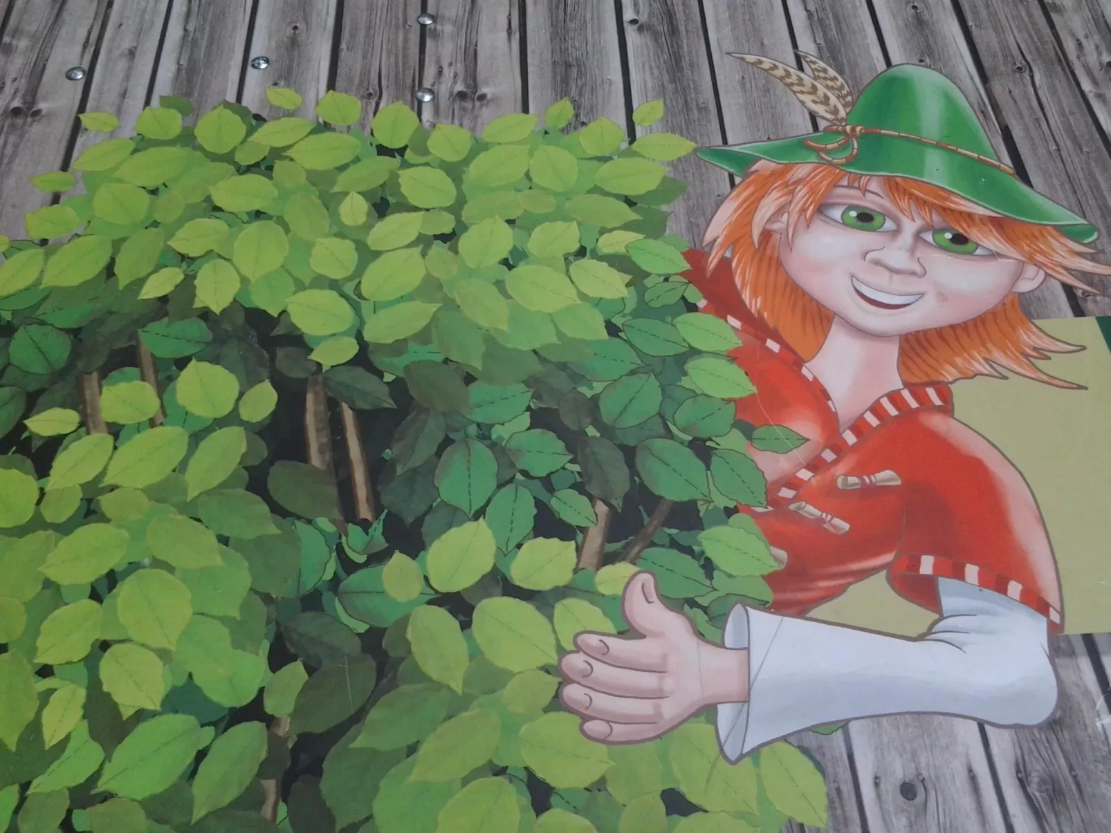 Urlaub in der Natur!-Draußen