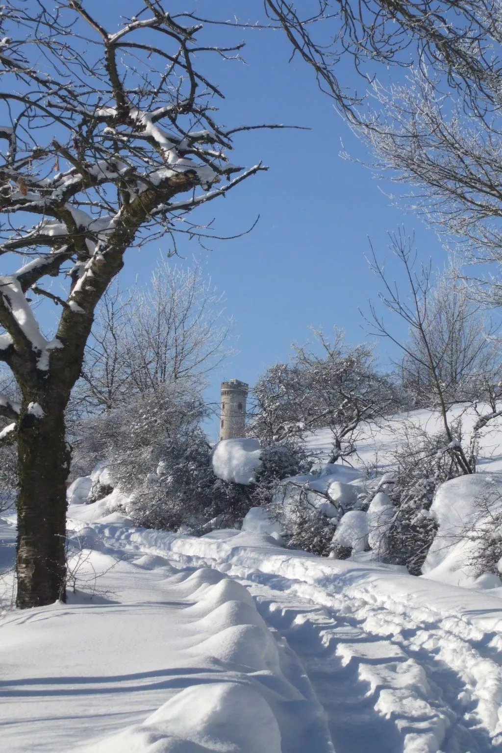 Gemütliche Ferienwohnung mit Garten-Outside
