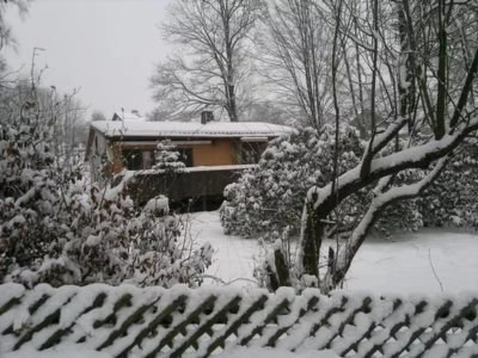 Mietz-Image-tags.info