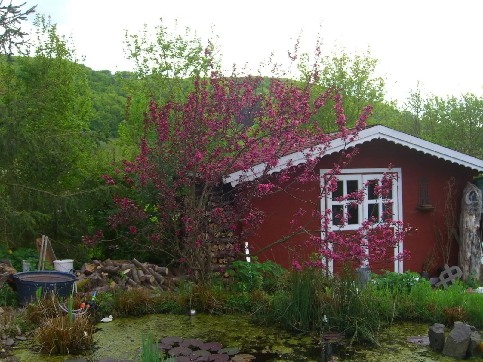 Gemütliches Ferienhaus in Fischbach Rhön-Outside