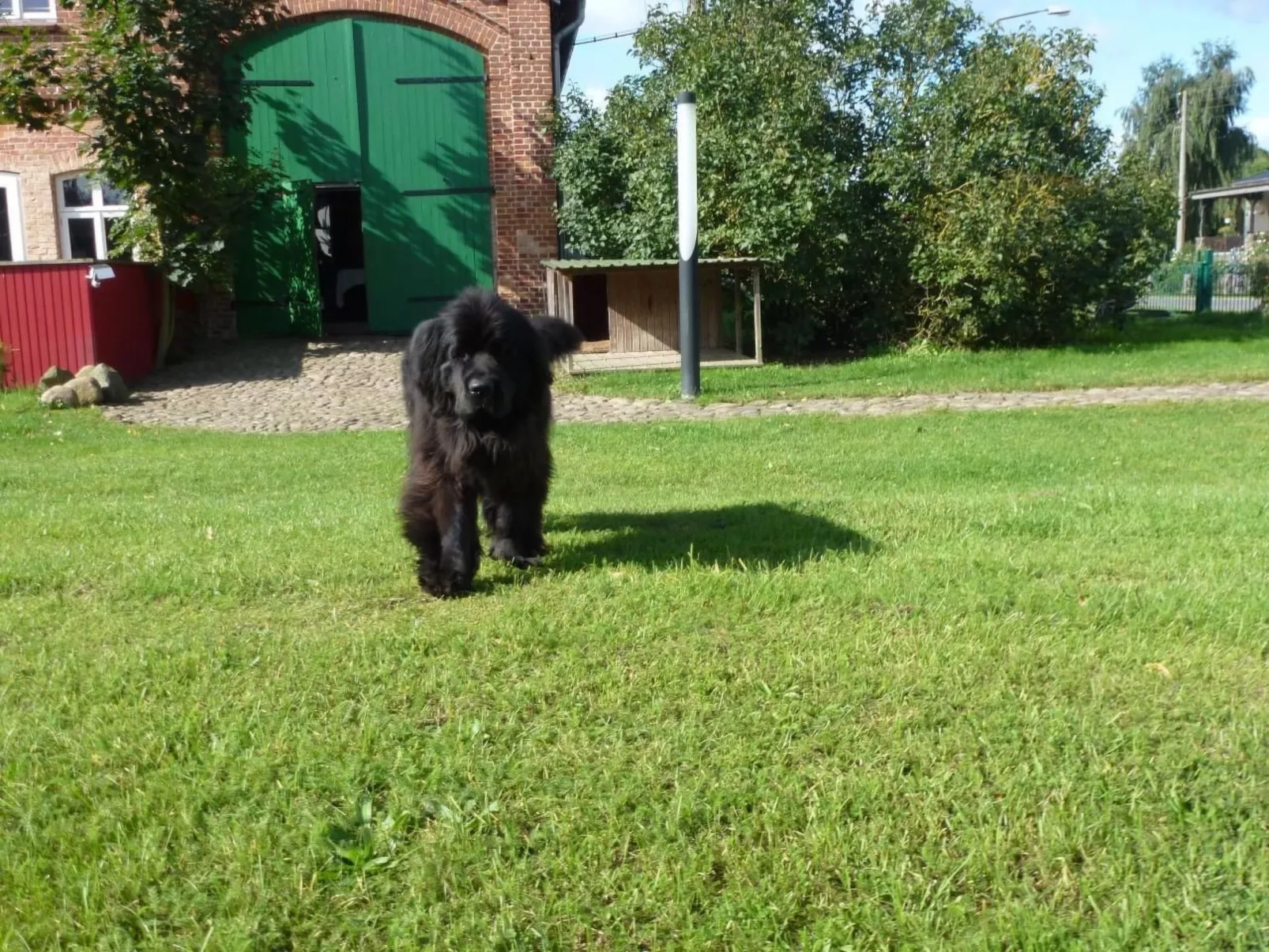 Hist. Schafscheune-Draußen