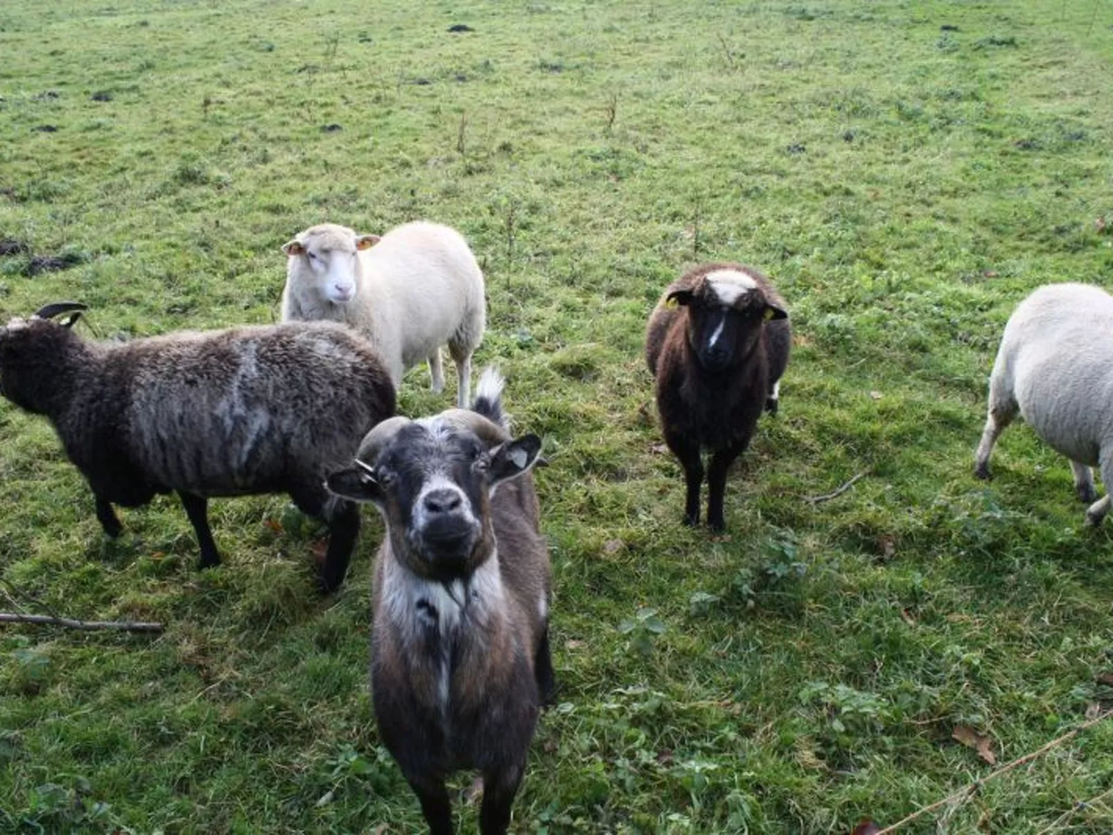 In Göhren mit Eigener Terrasse-Dehors