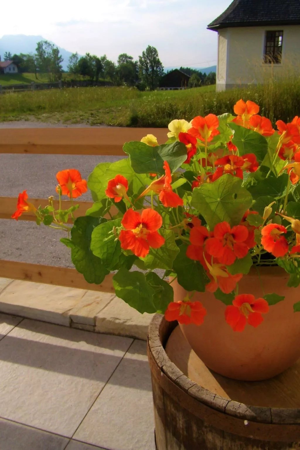 In Sankt Koloman mit Großer Terrasse-Dehors
