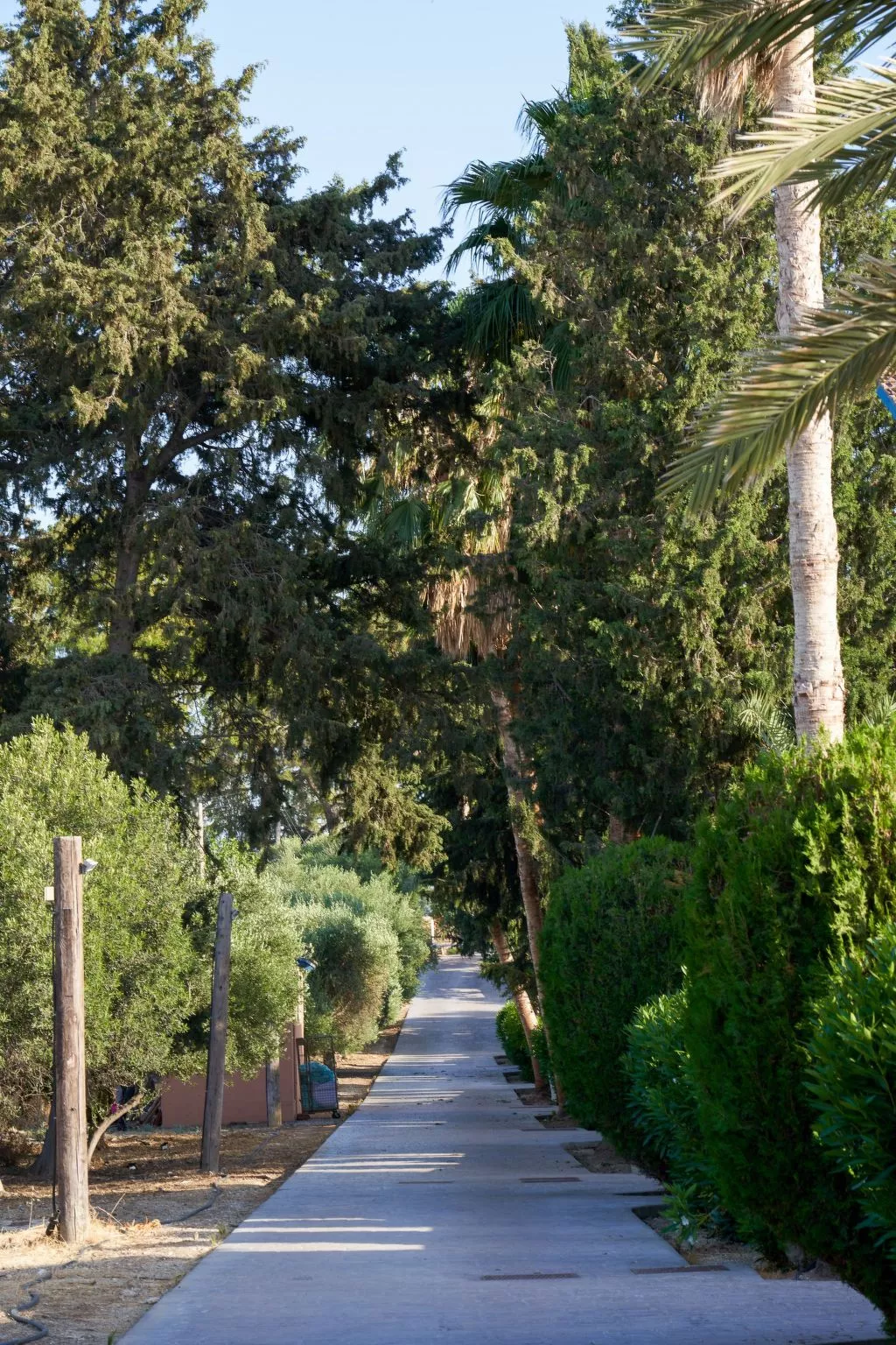 In Polis Chrysochous mit Offenem Kamin-Outside