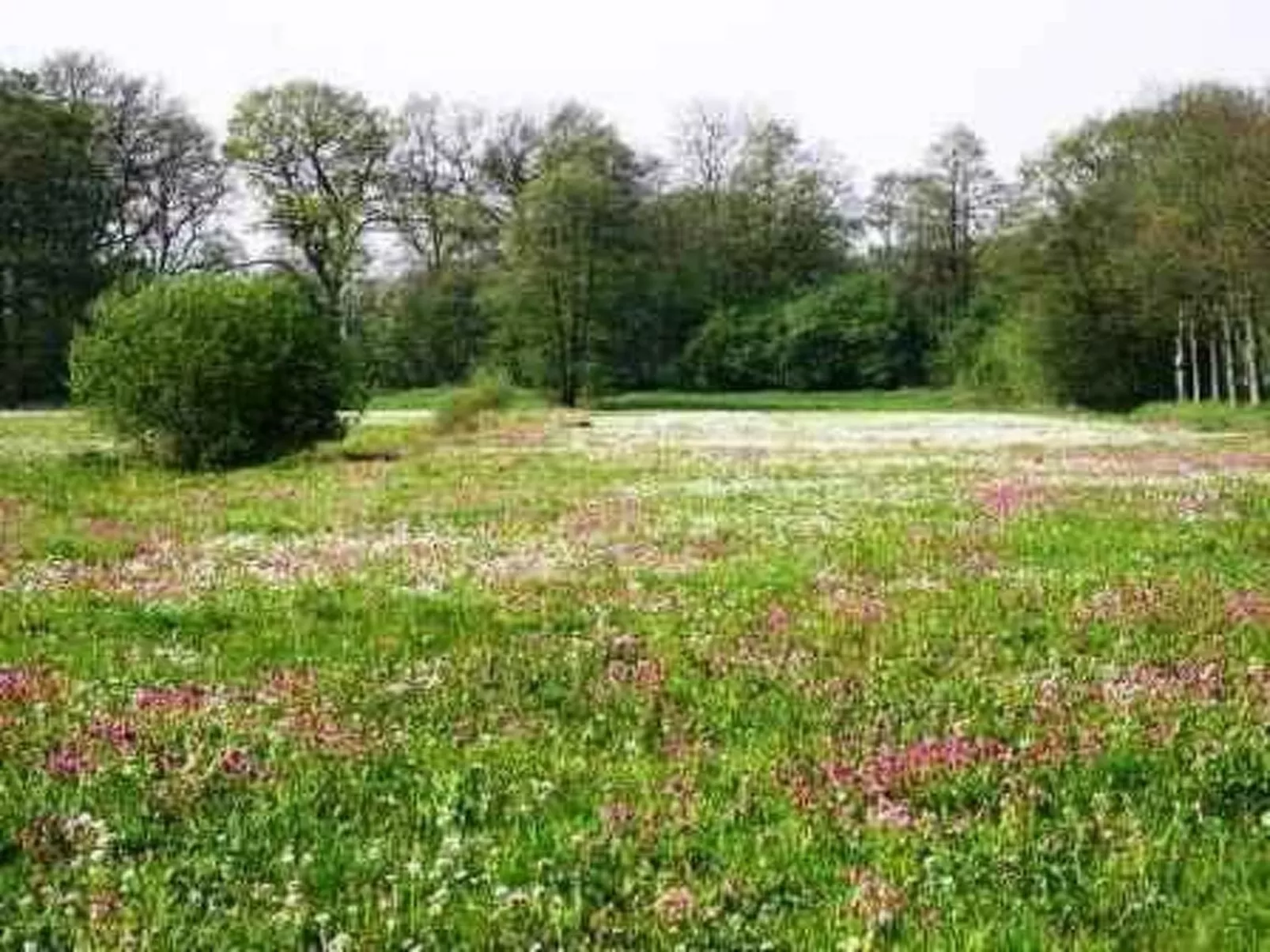 't Anderhoes-Draußen