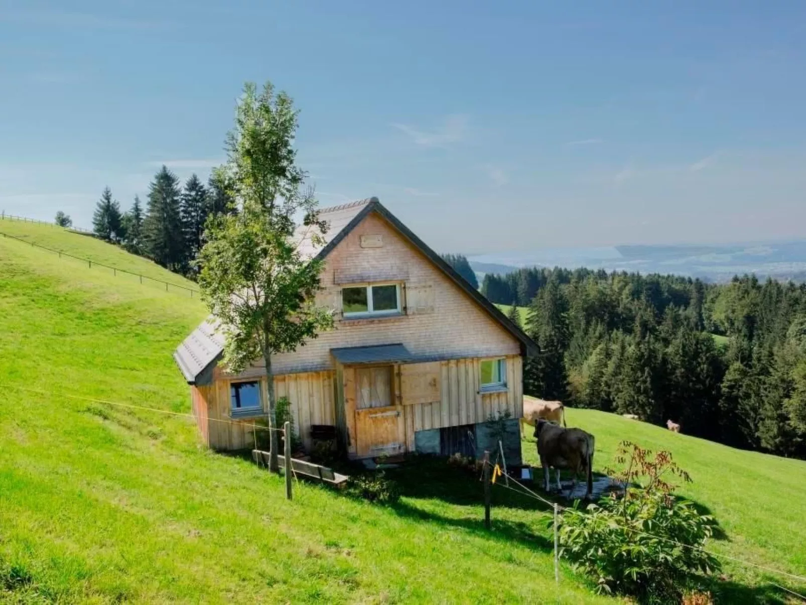 Bauernhof Fendrig  - neue Wohnung-Draußen