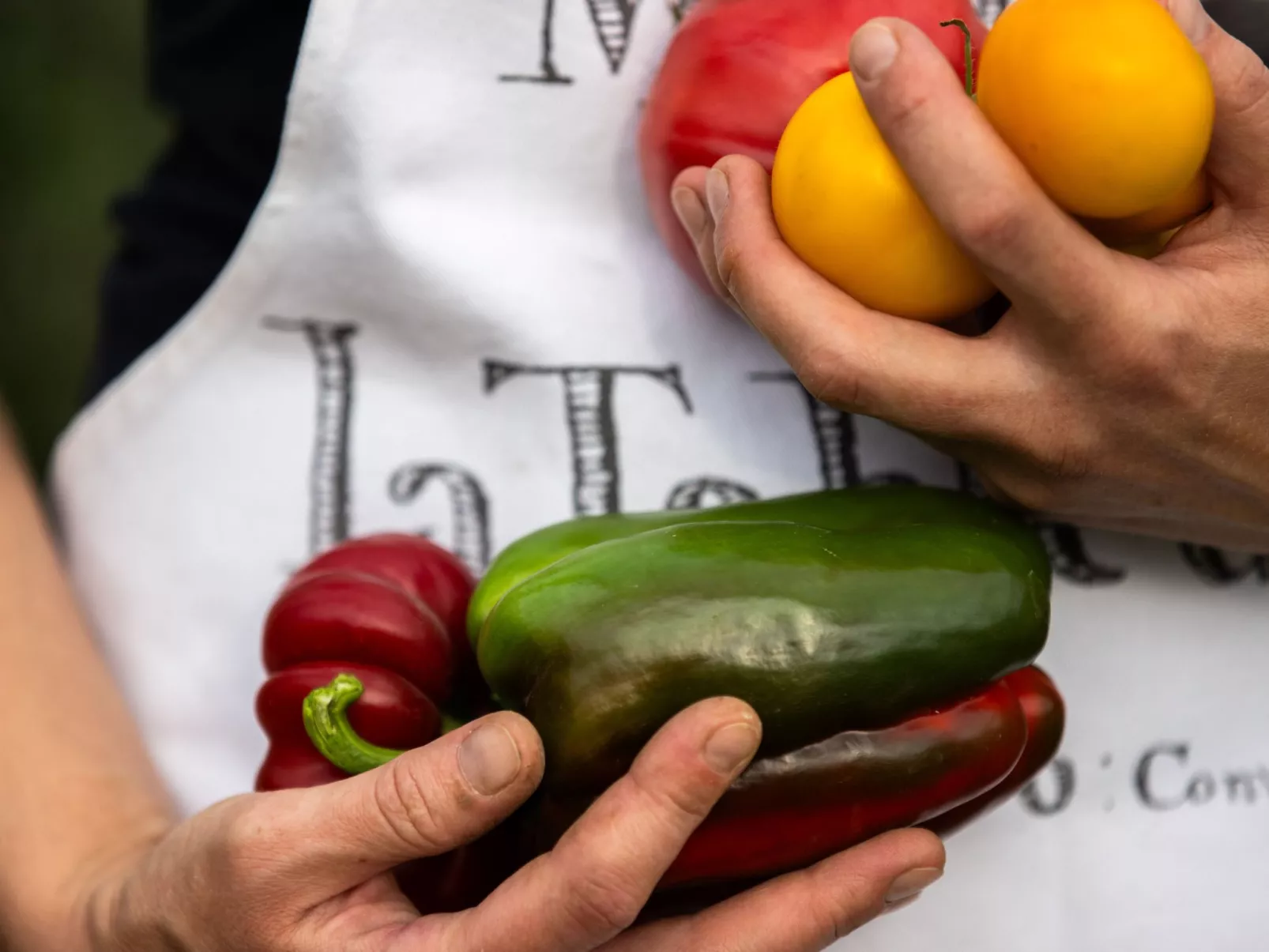 Grand Appartement-Image-tags.info