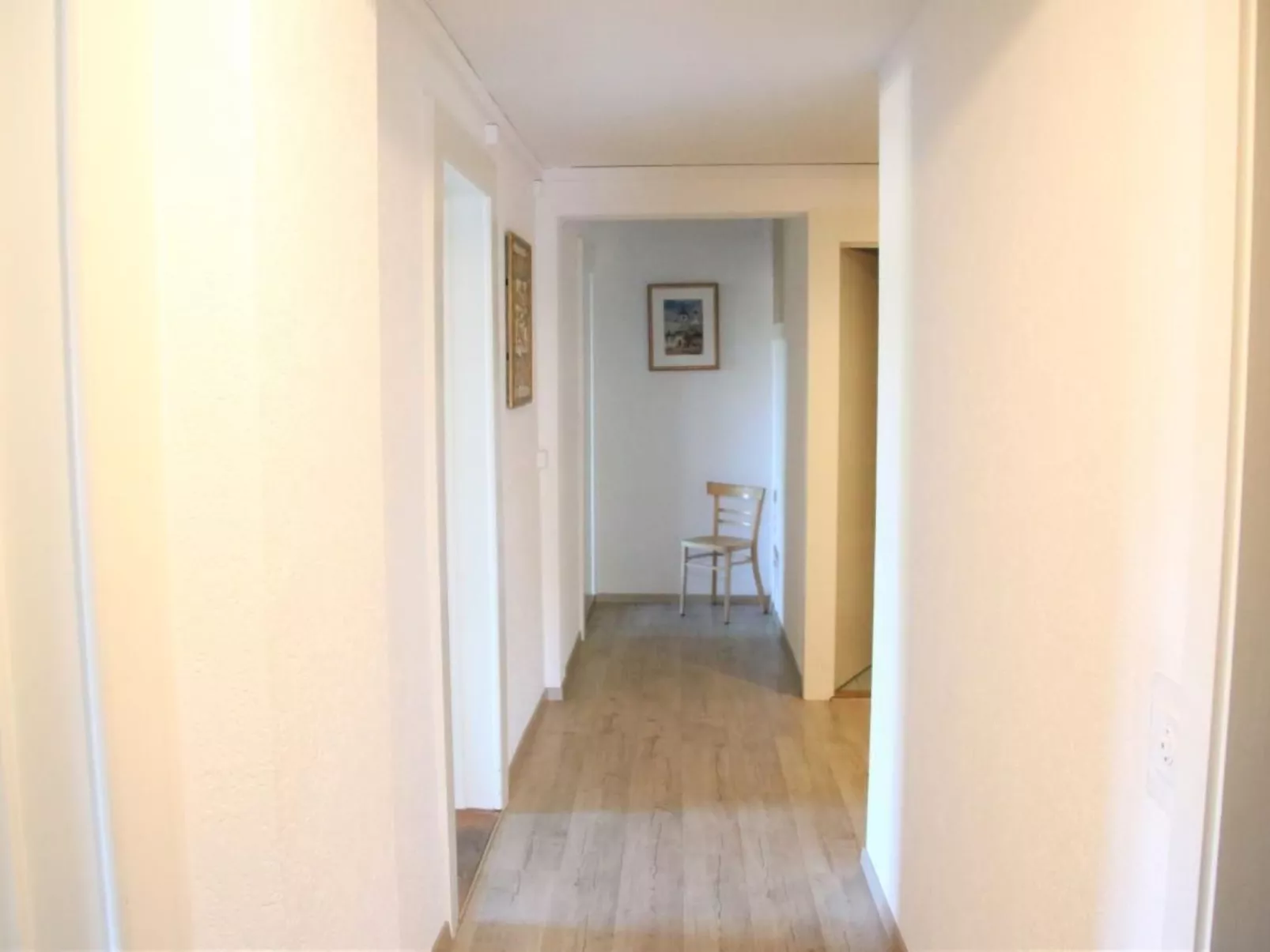 Les Narcisses,Blonay-Dedans