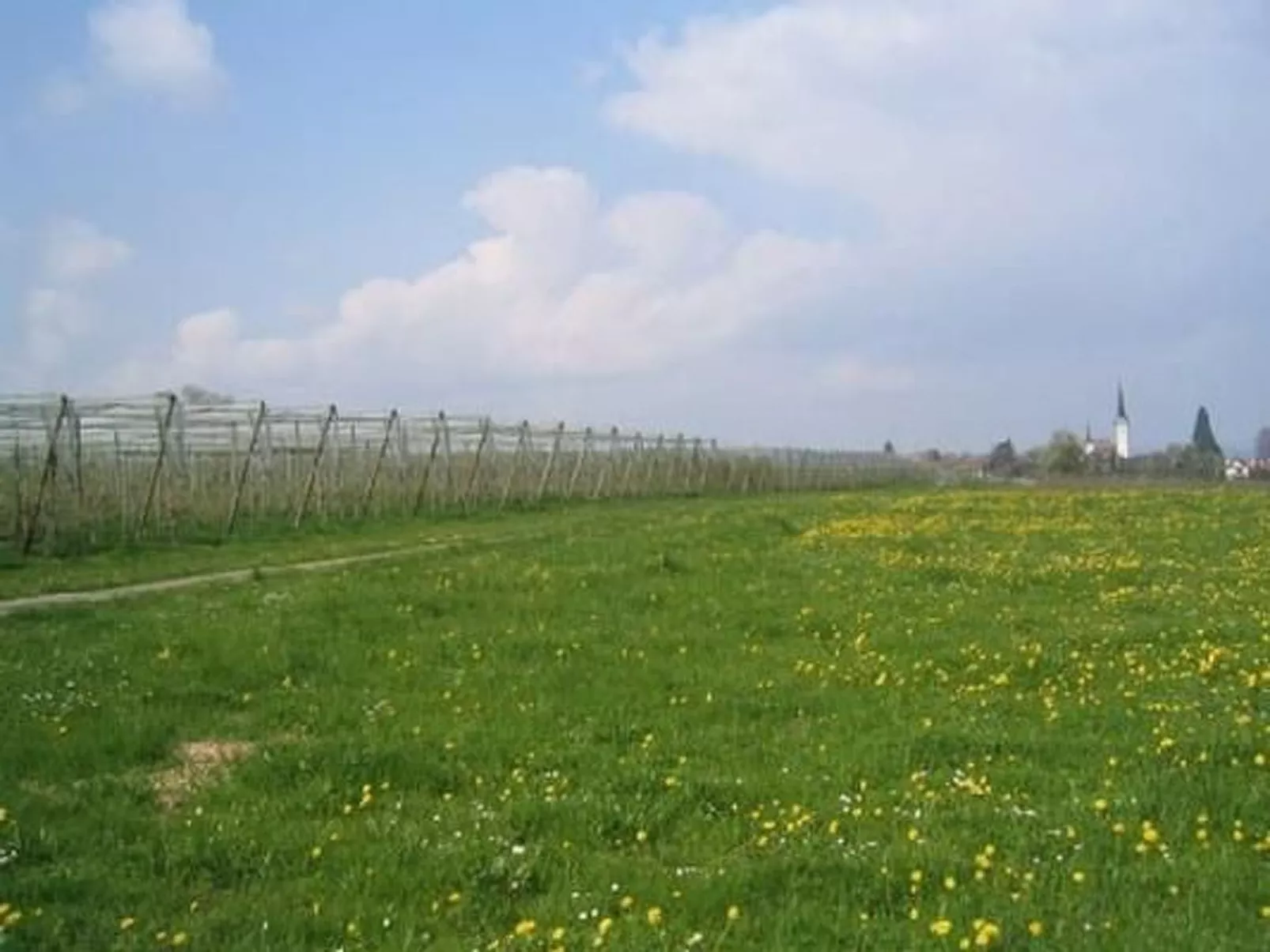 Diwa-Image-tags.info