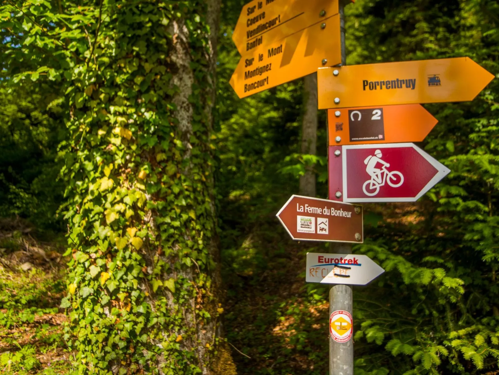 Leben "Im Herzen der Farm"-Draußen