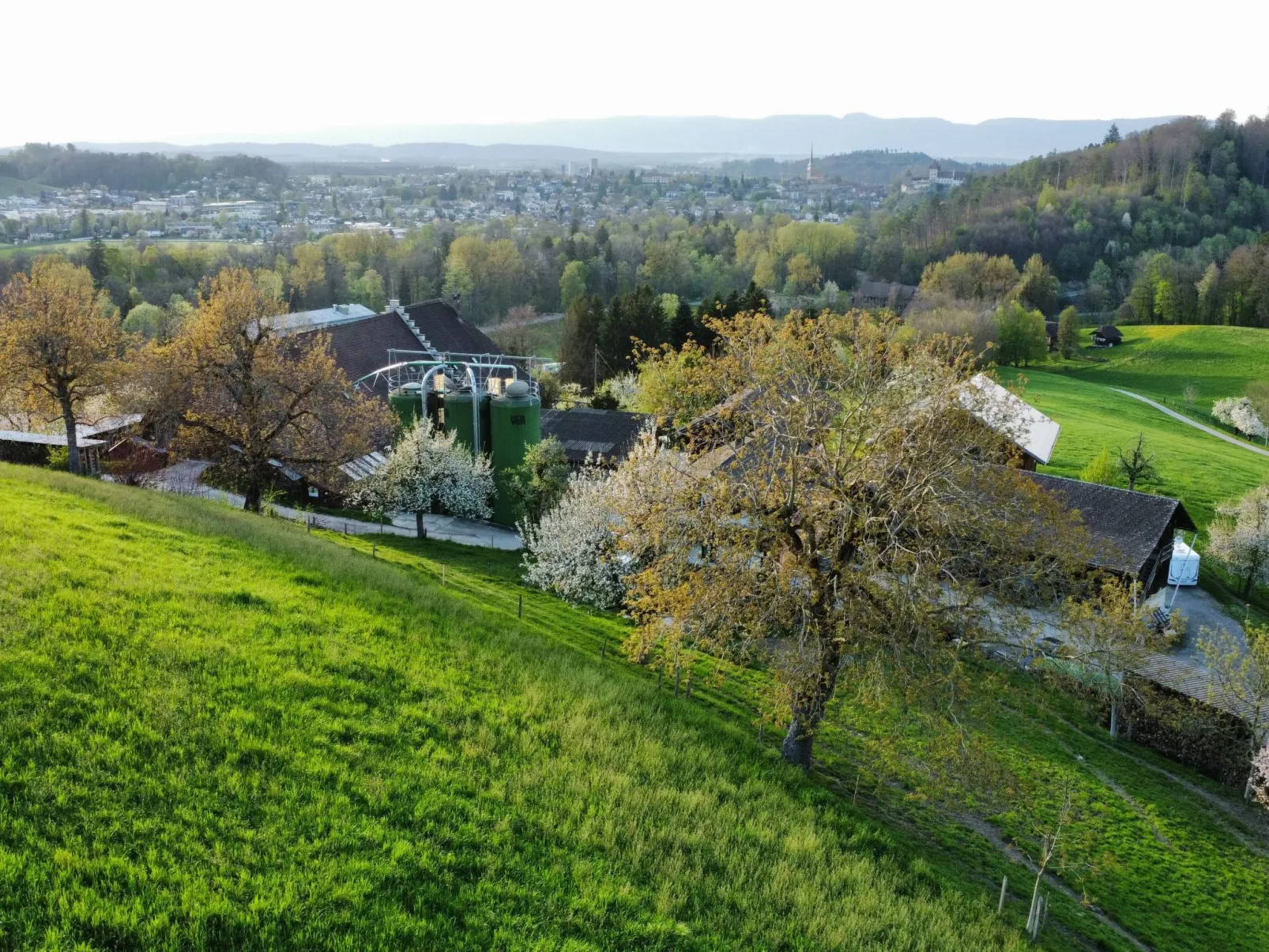 Bättwil-Dehors