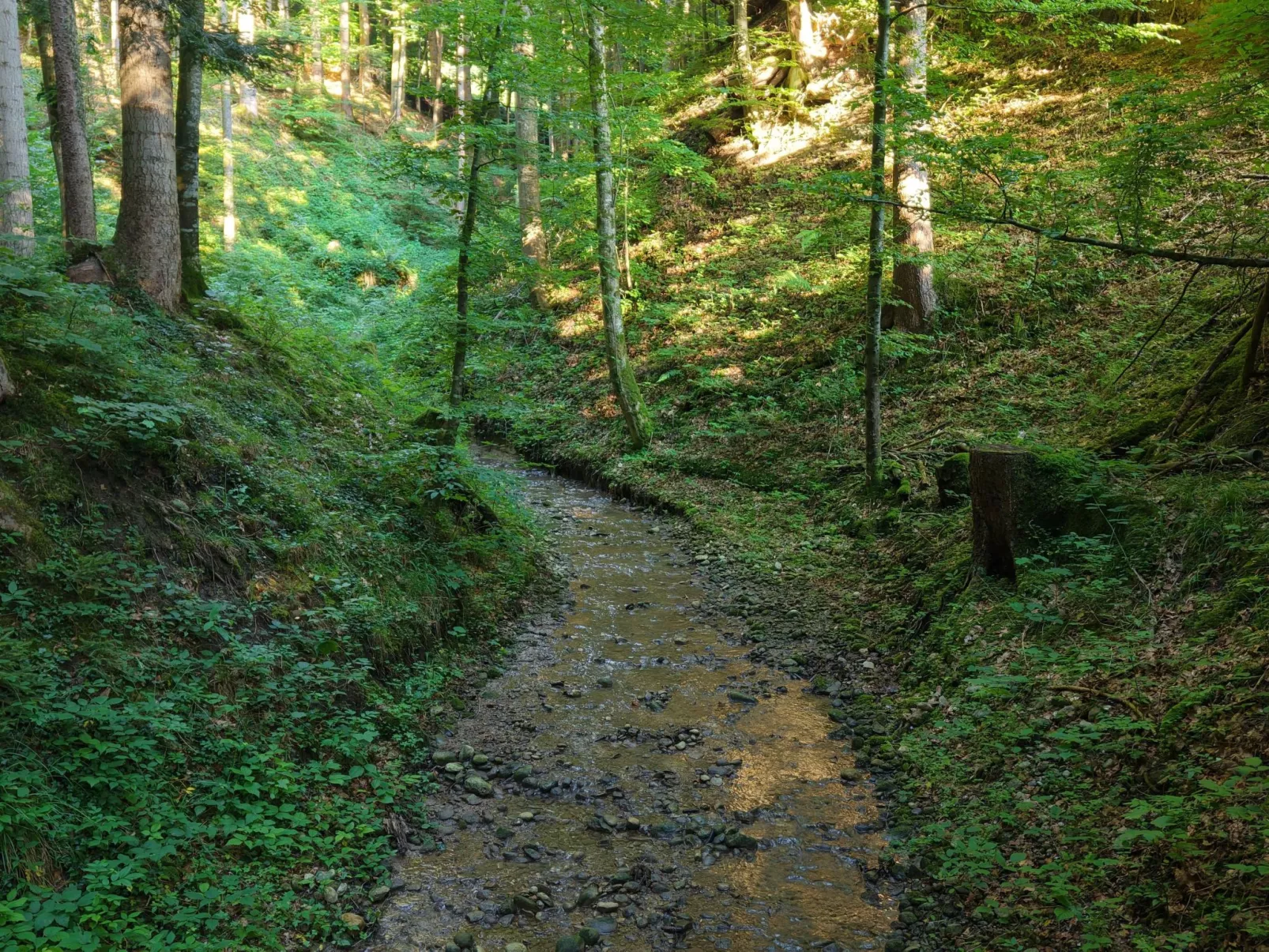 Bauernhaus VordereAu-Dehors