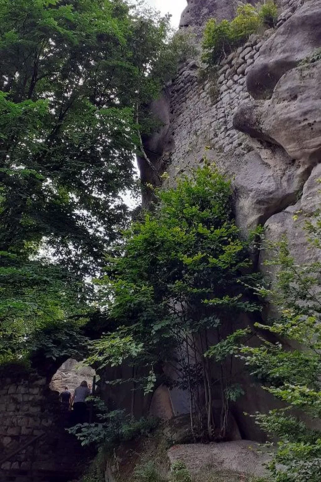 In natürlicher Umgebung-Draußen