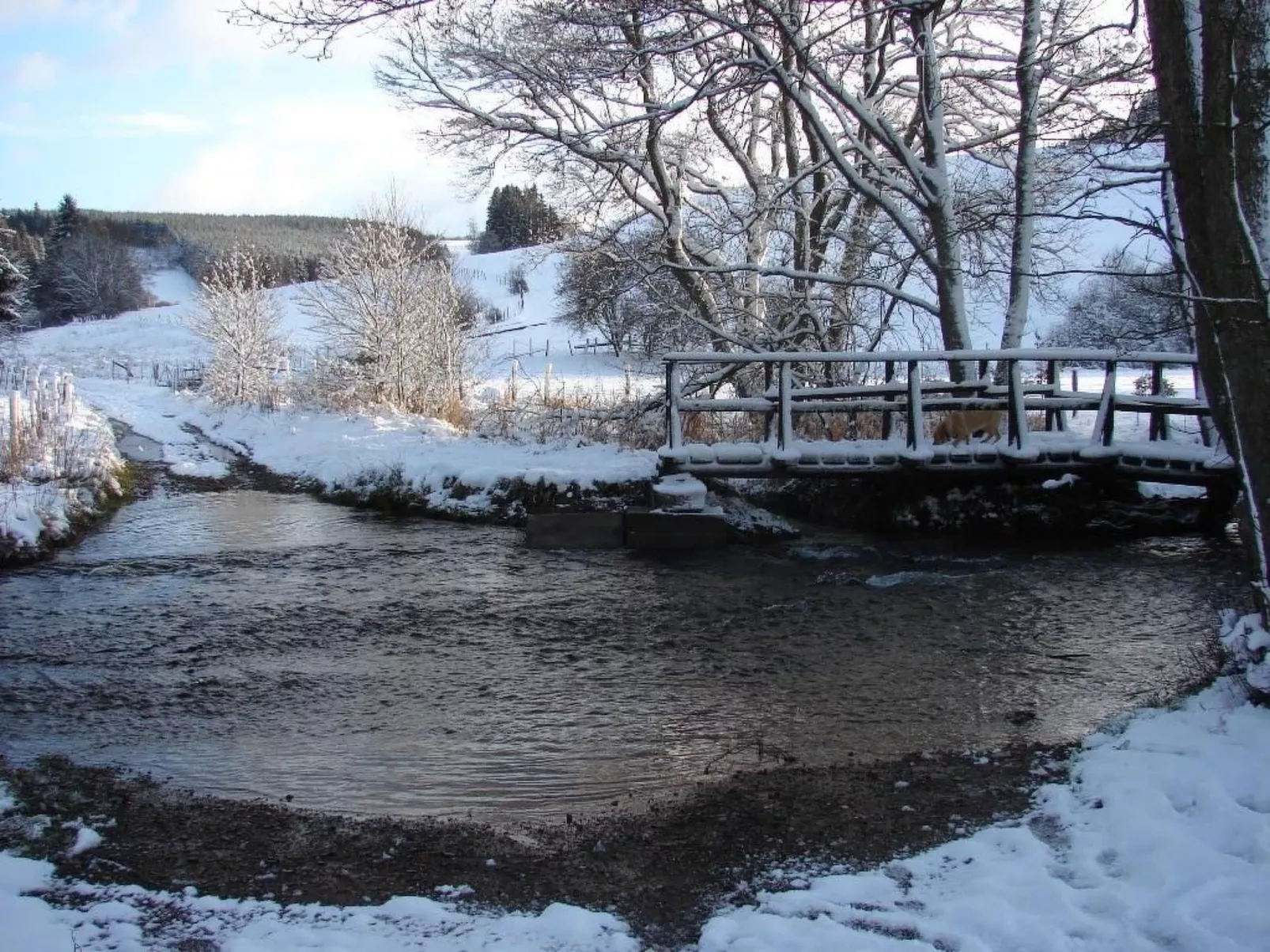 Snowview Lodge-Draußen