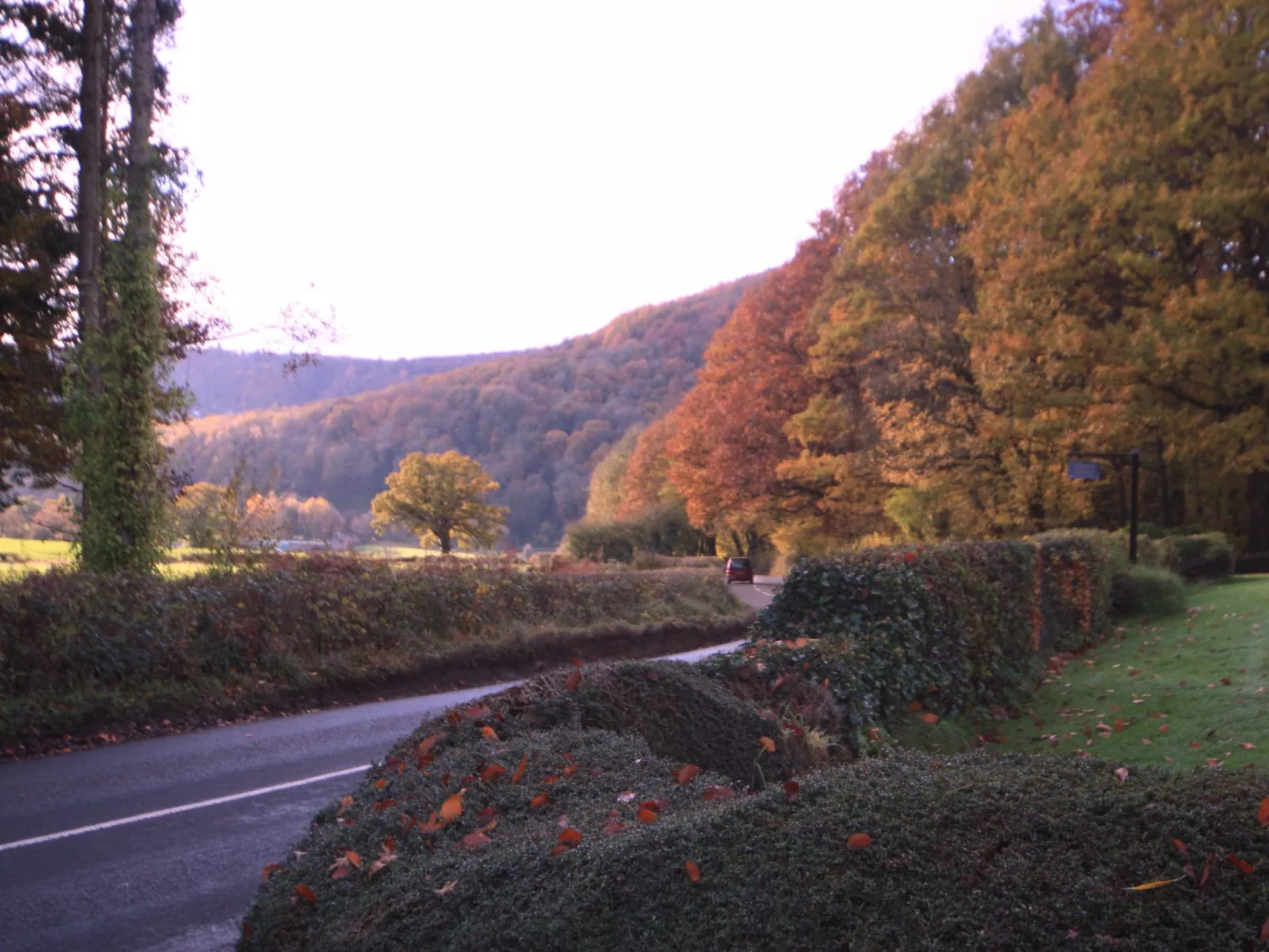 Cottage "Foxes Reach" mit Whirlpool-Dehors