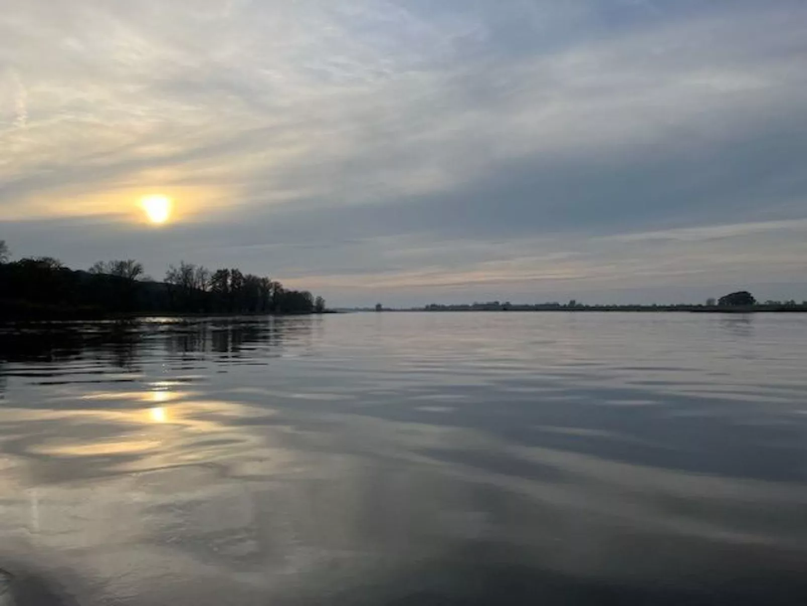 Haus Elbrose inmitten von Rosen mit Elbdeichzugang-Dehors