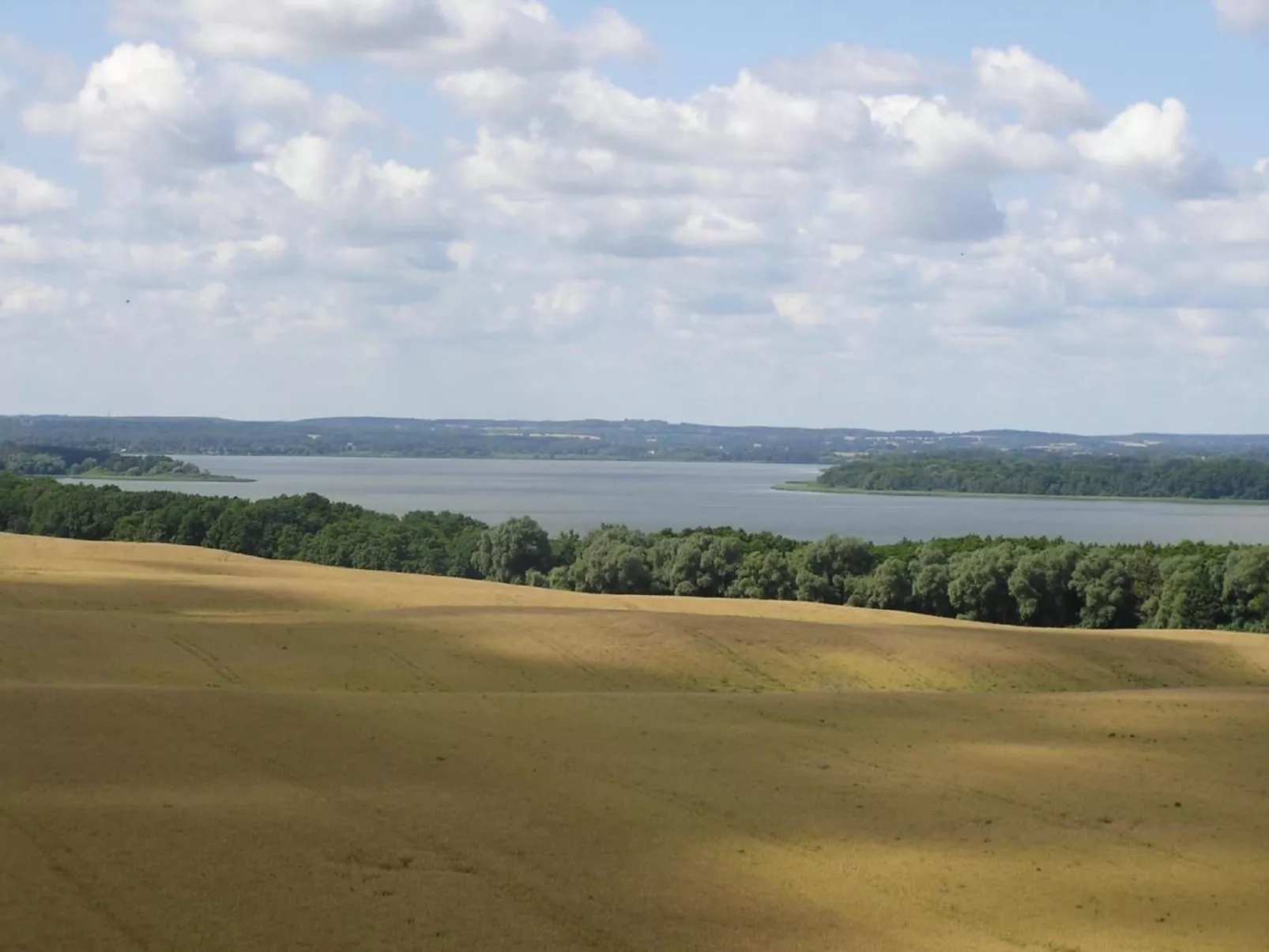 In Dahmen mit Großem Garten-Draußen