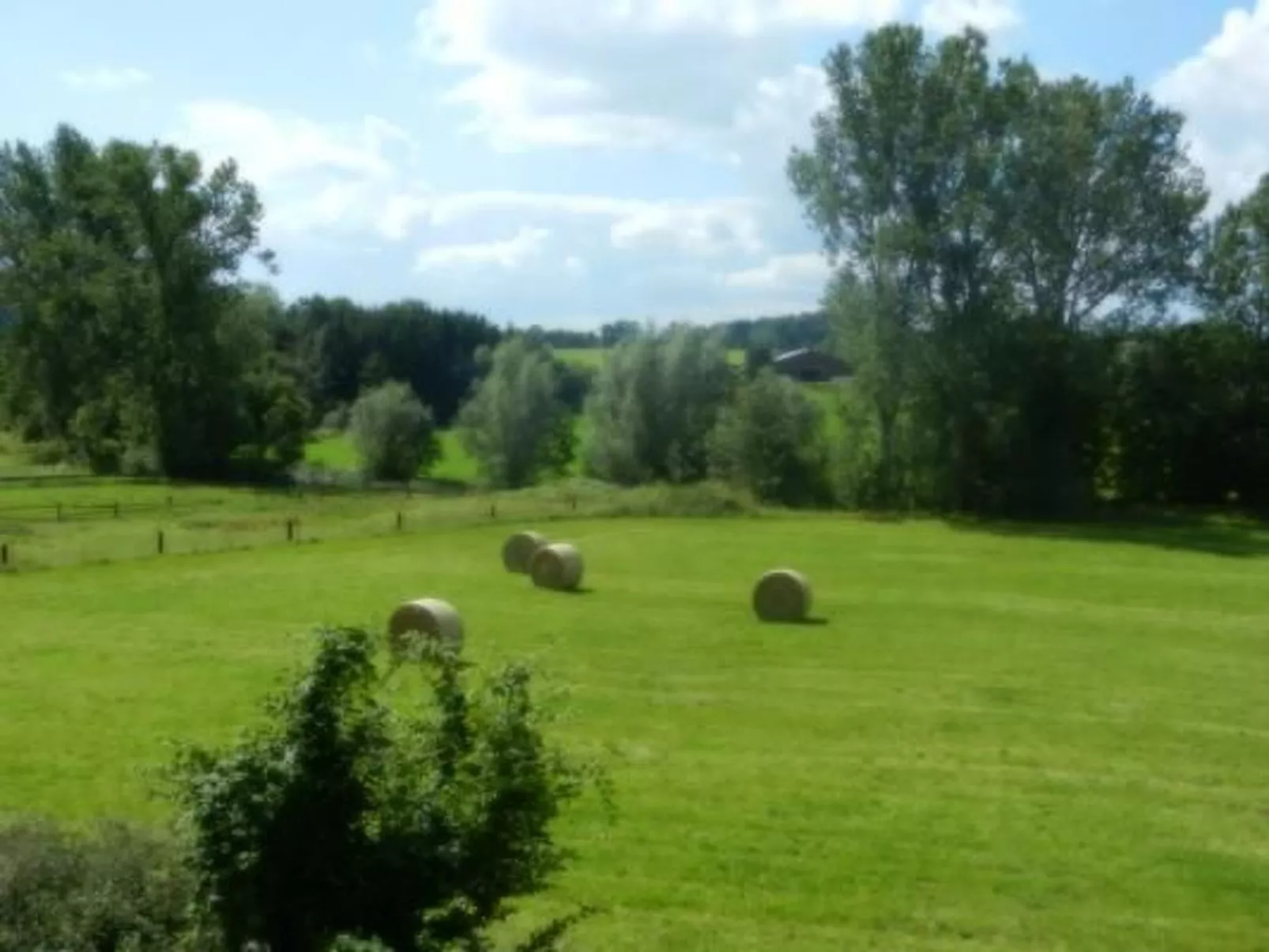 Preiser in Schieder-Schwalenberg-Outside