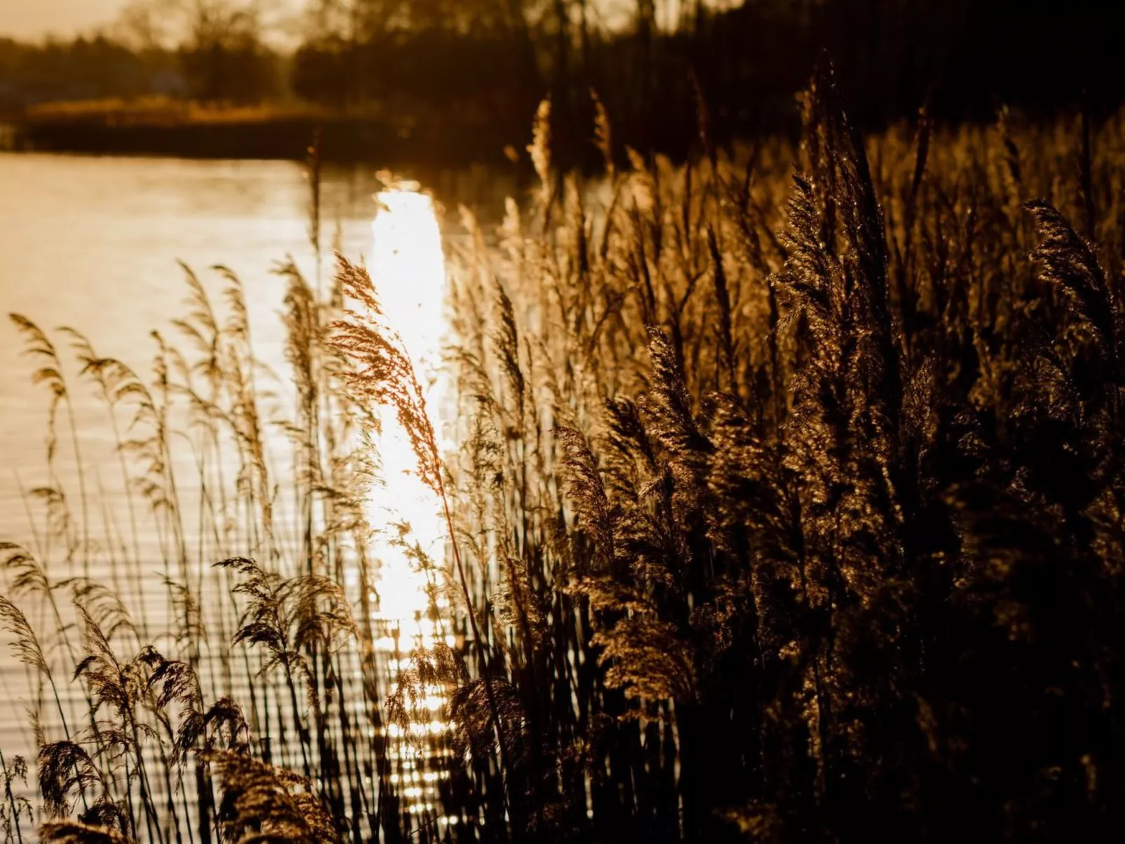 Residenz KrakowerSee-Dehors