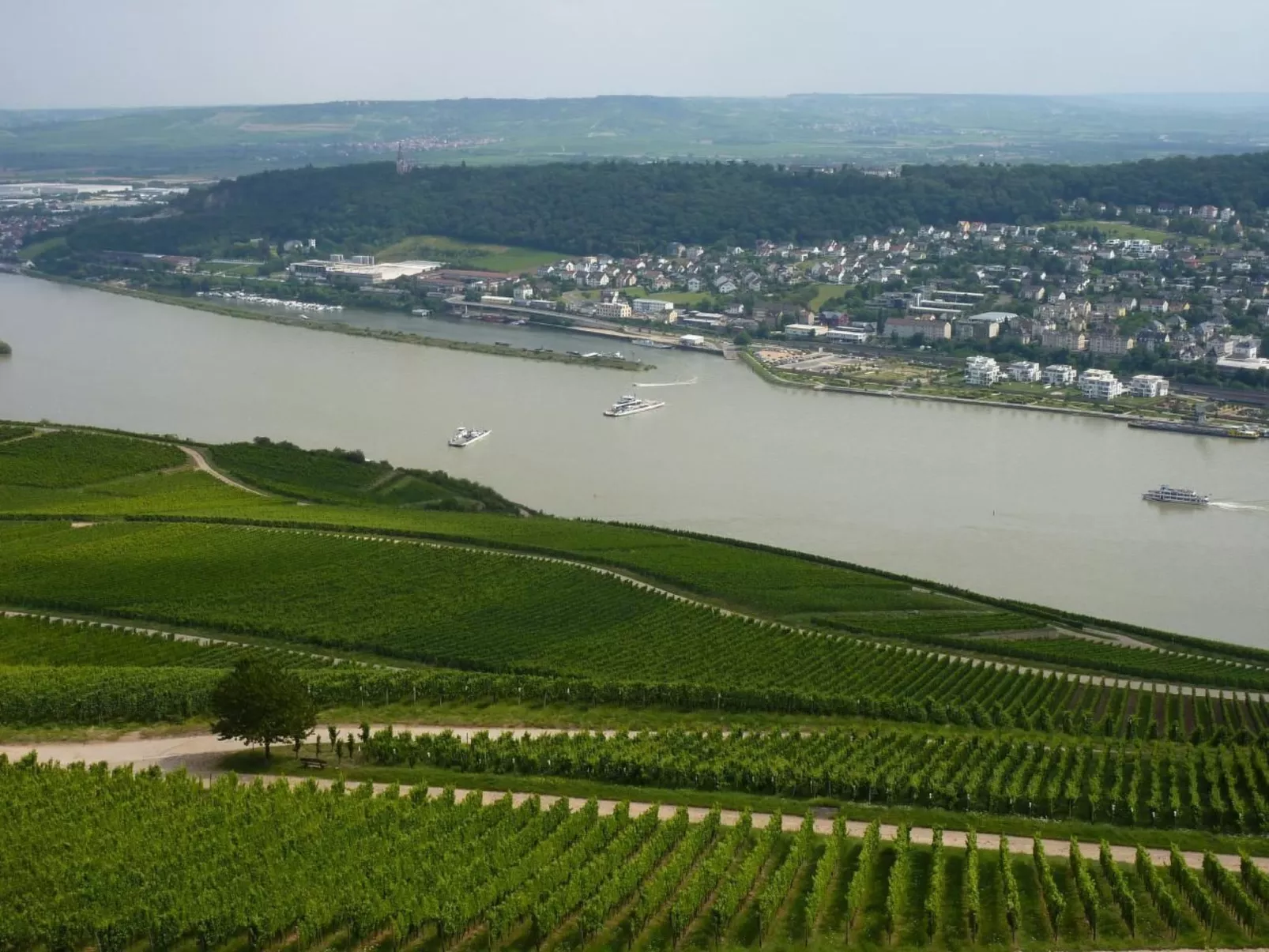 Appartement mit Terrasse, Garten und Grill-Draußen