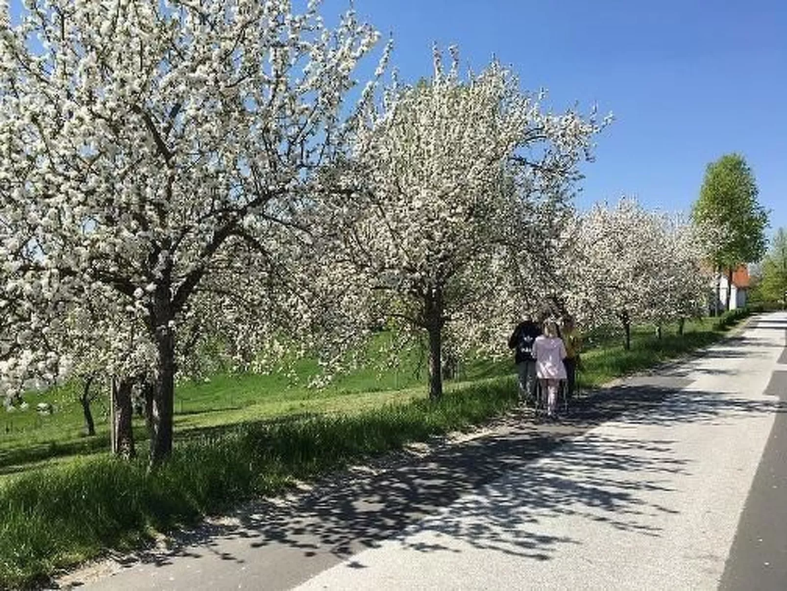 Thermen Apartment-Outside